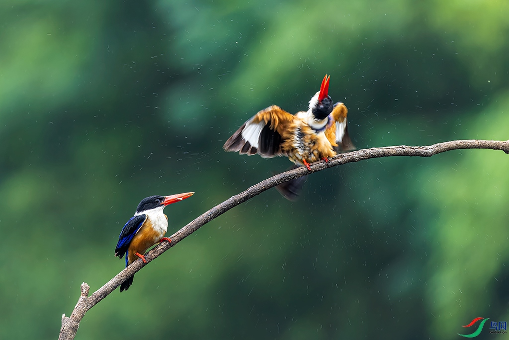 hbhaR230624 (379)_DxO.jpg