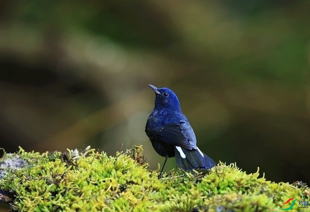 ���� IMGL2198.JPG