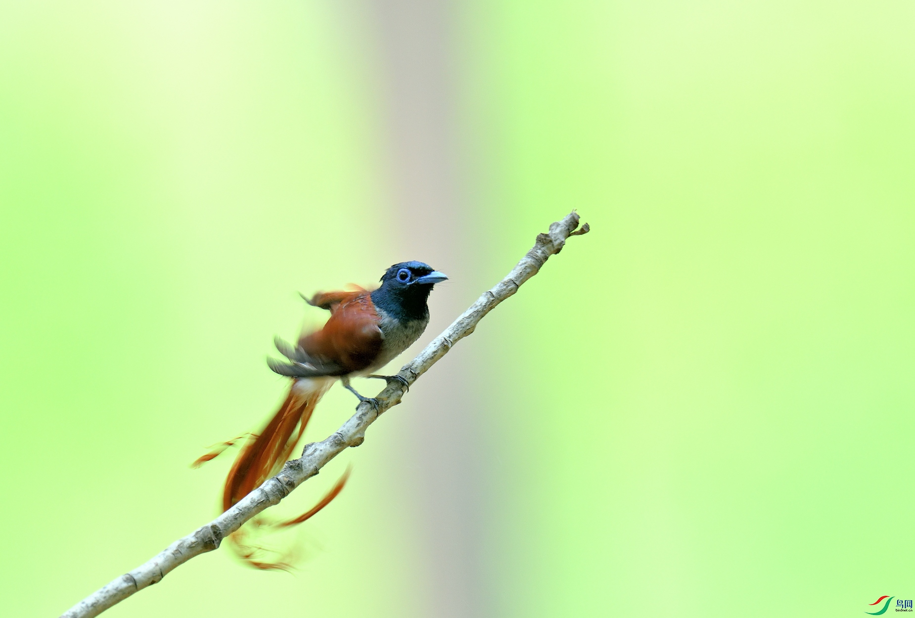DSC_5472.JPG