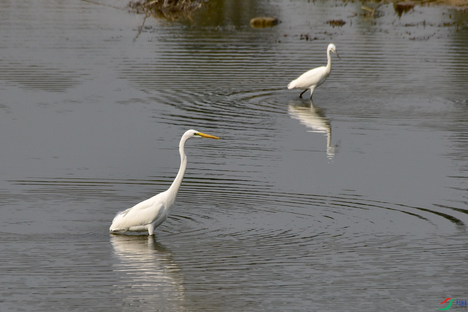 DSC_4011.JPG