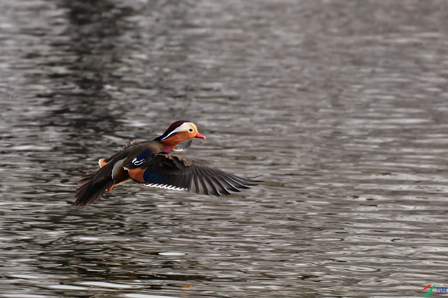DSC_7200.JPG