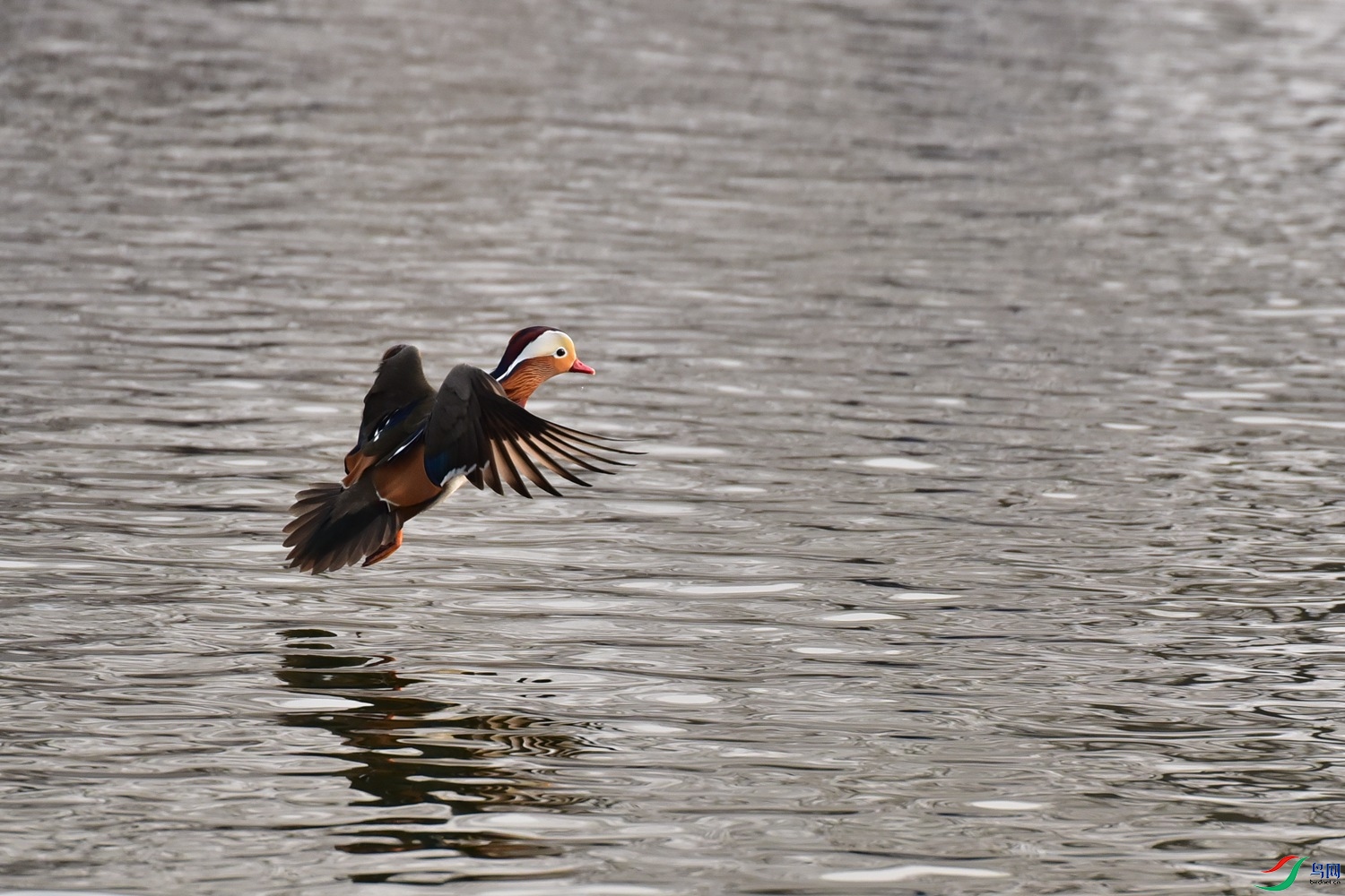 DSC_7202.JPG
