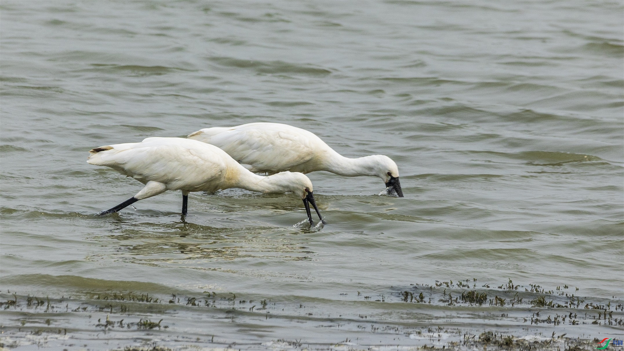 1K3A9880 ����1.jpg