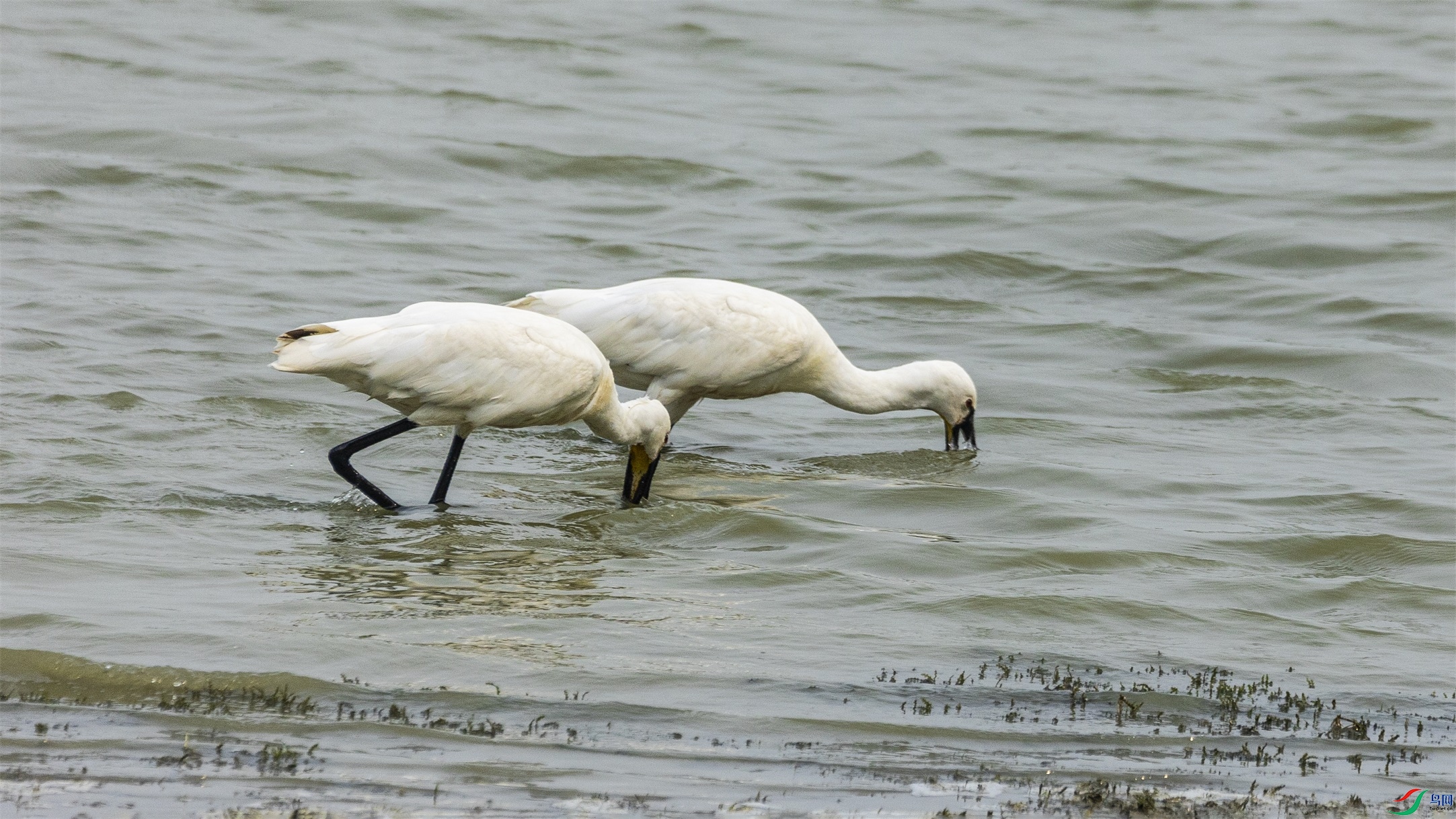 1K3A9884 ����1.jpg