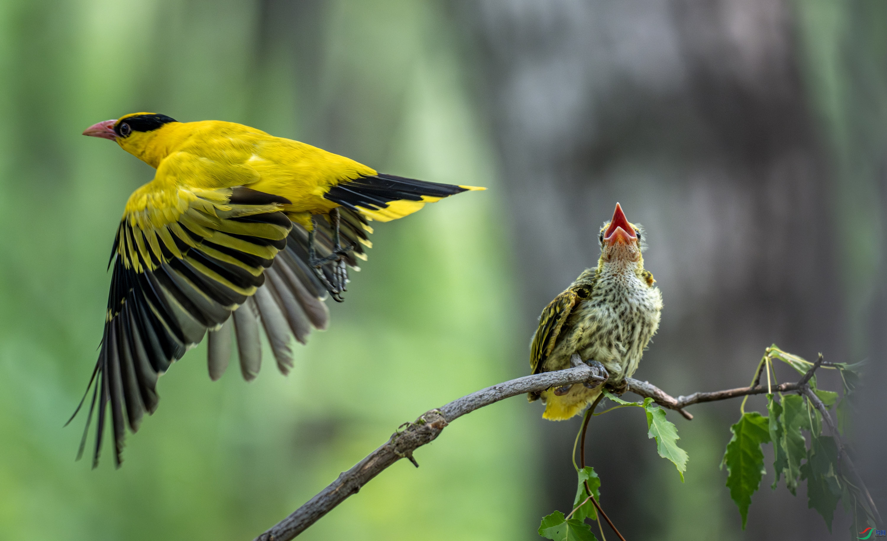 �������