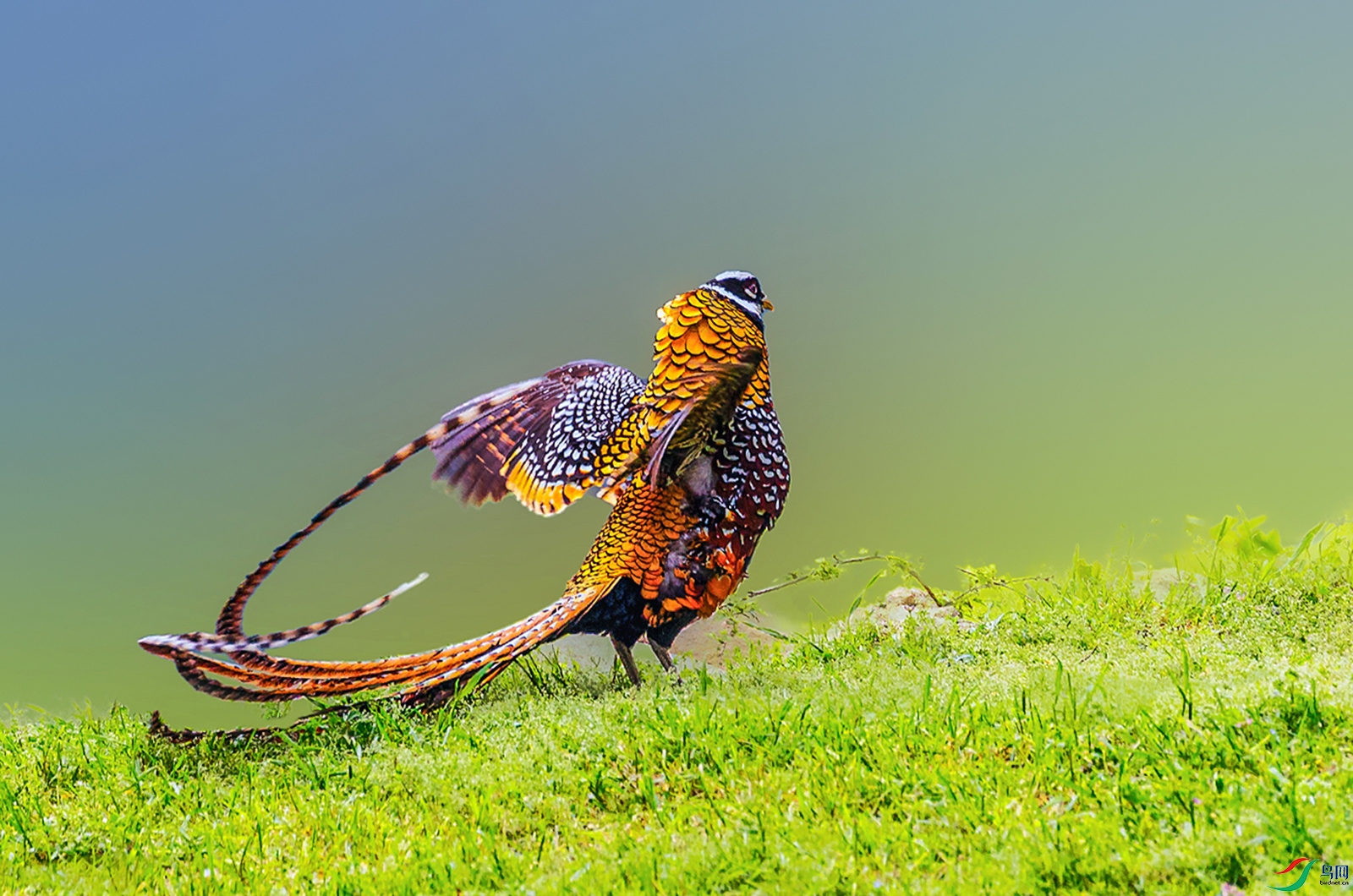 6670 ����.jpg