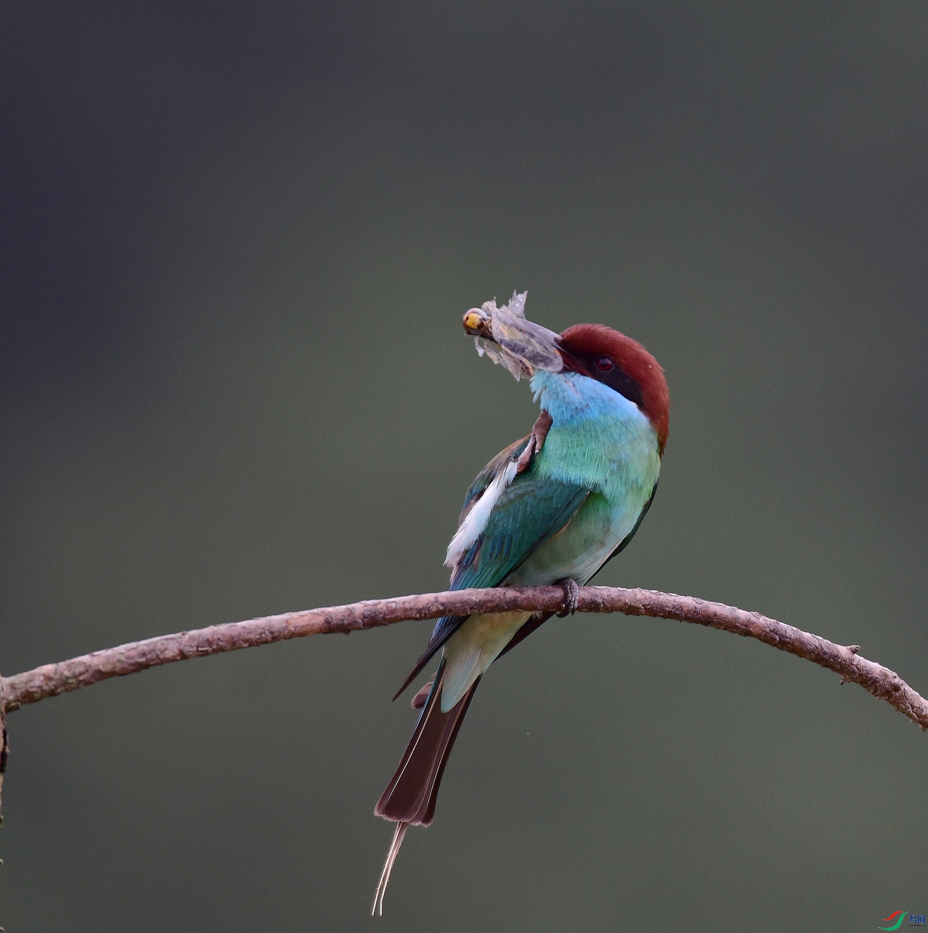 D8I_5087.jpg
