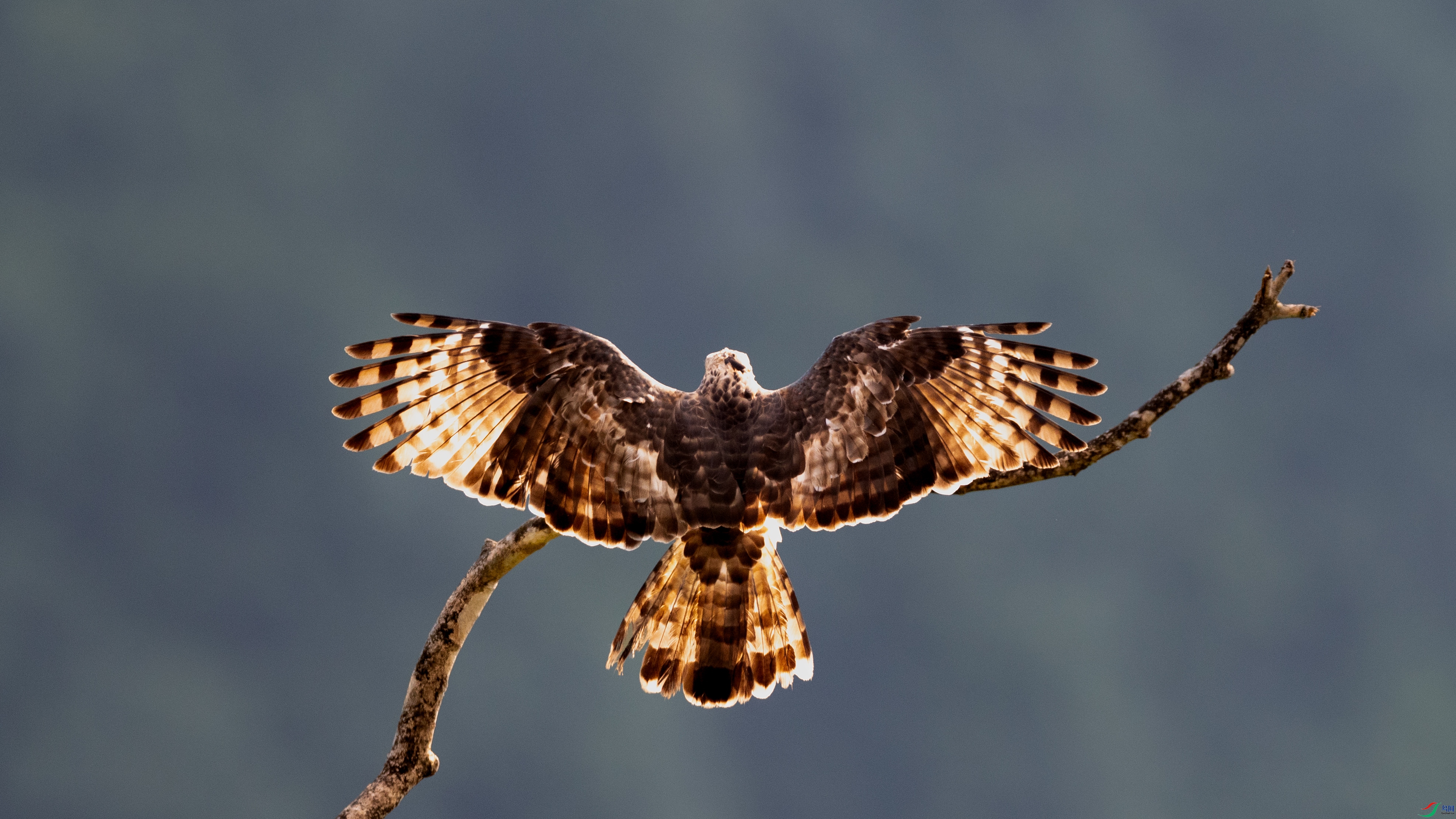 3I8A6309 ����.jpg