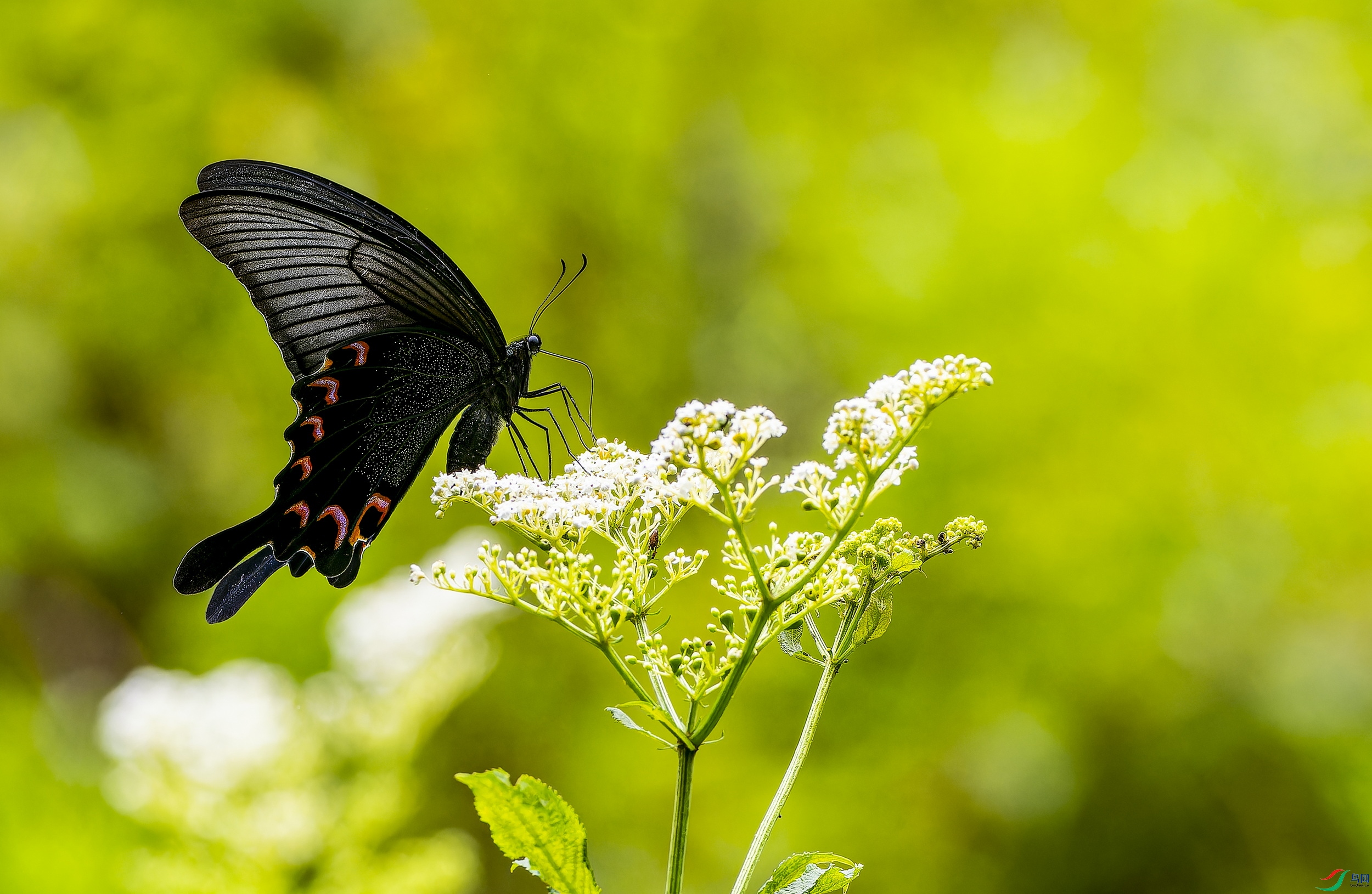 �̷�� (8)-1.jpg