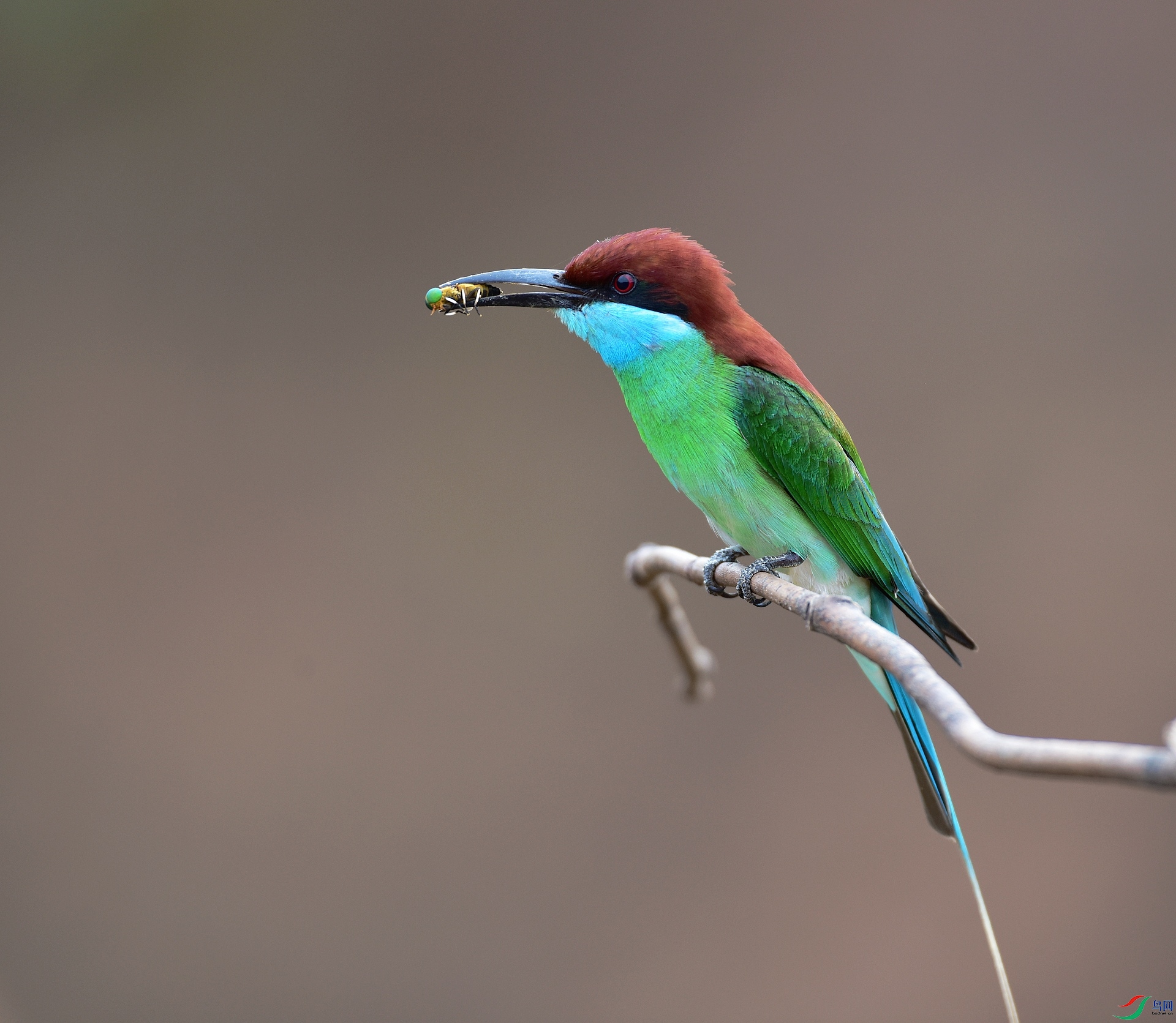 D8I_9890.jpg