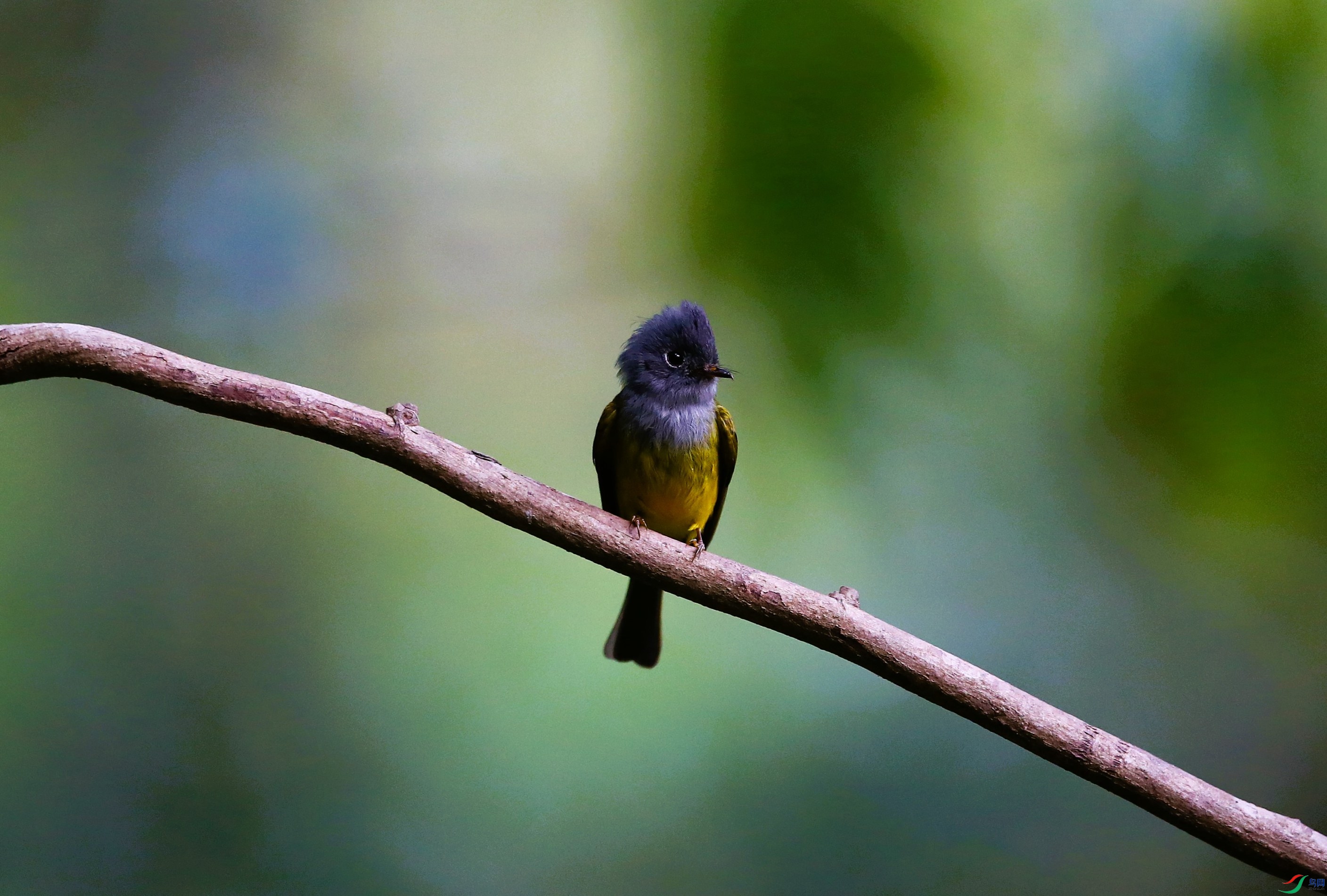 ��β�l (6).JPG