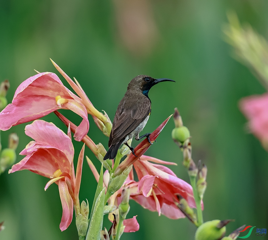 0J2A7532-0.jpg
