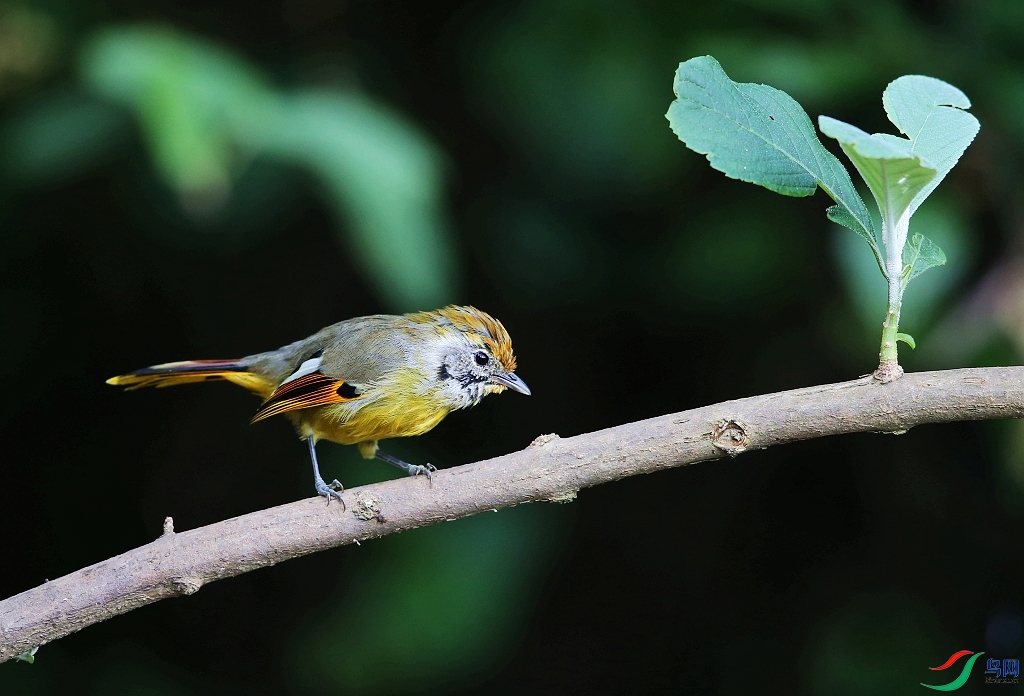 ���� IMGL8230.JPG