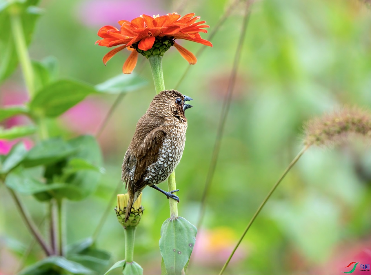 DSC04612-����ǿ ����1.jpeg