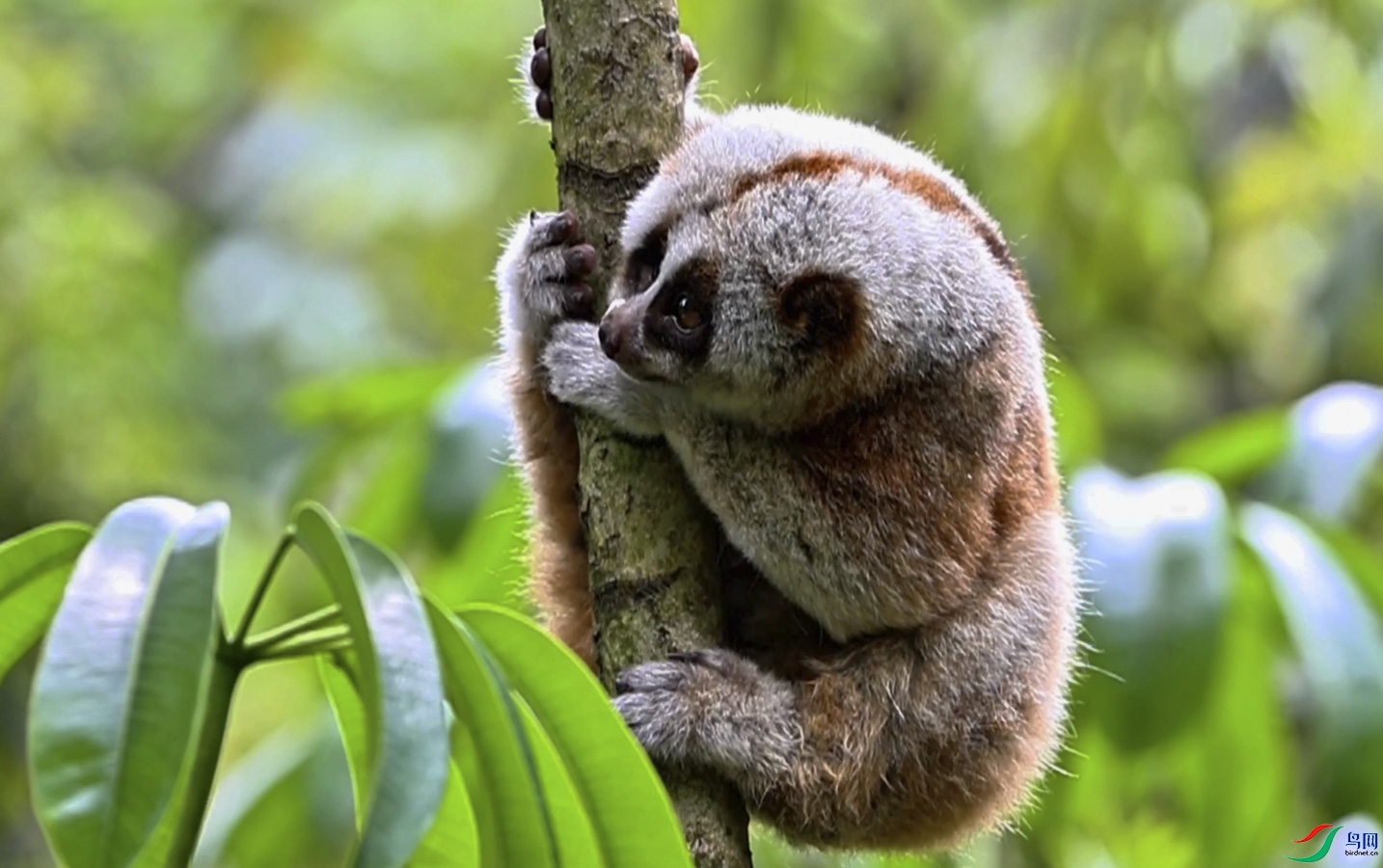 ����2024-07-13 19.20.43.jpg