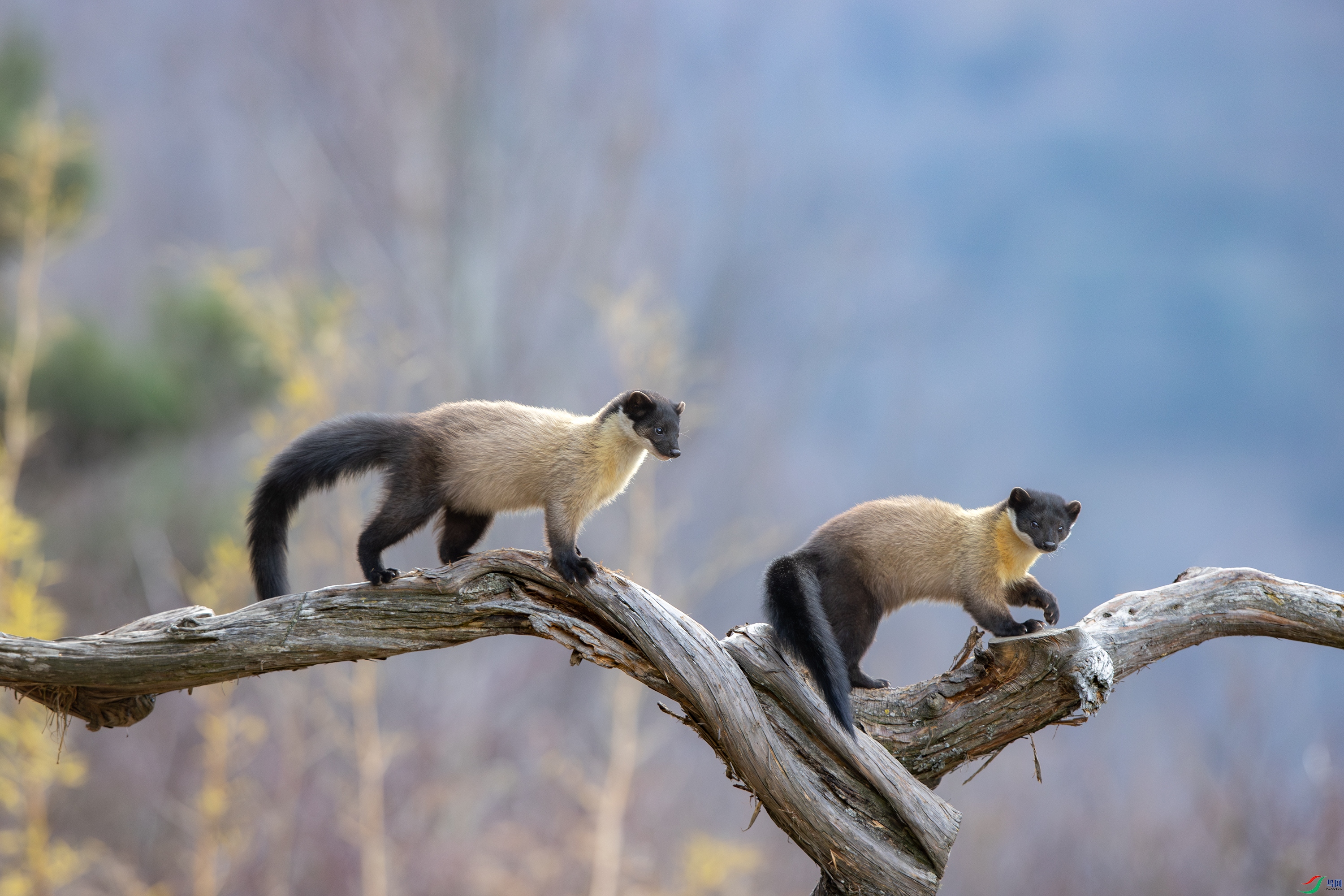 A15I5700-NR ����.jpg