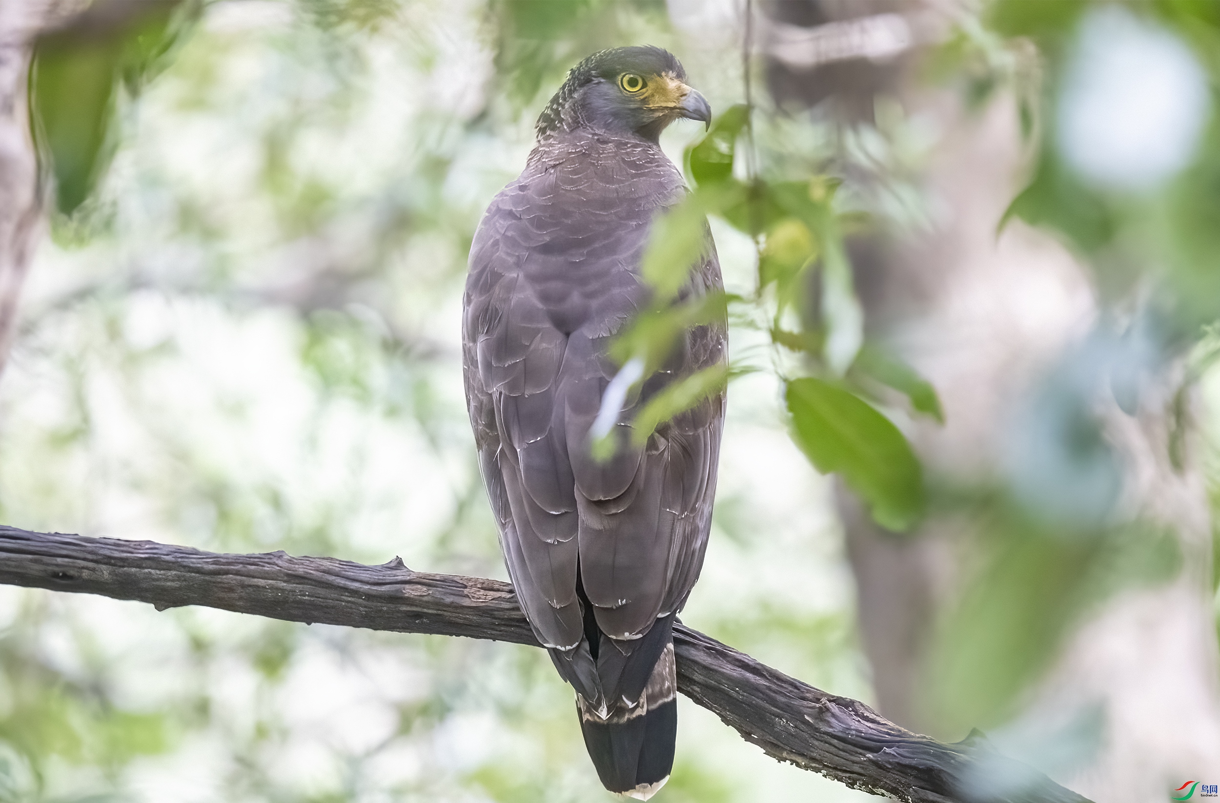 AC3I7914 ����.jpg