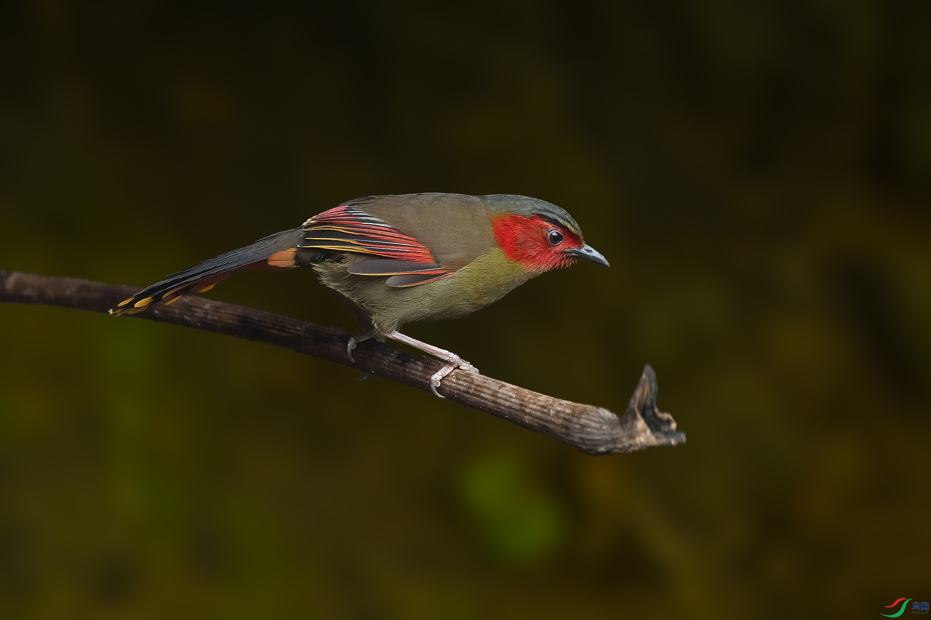 DSC_4225.jpg