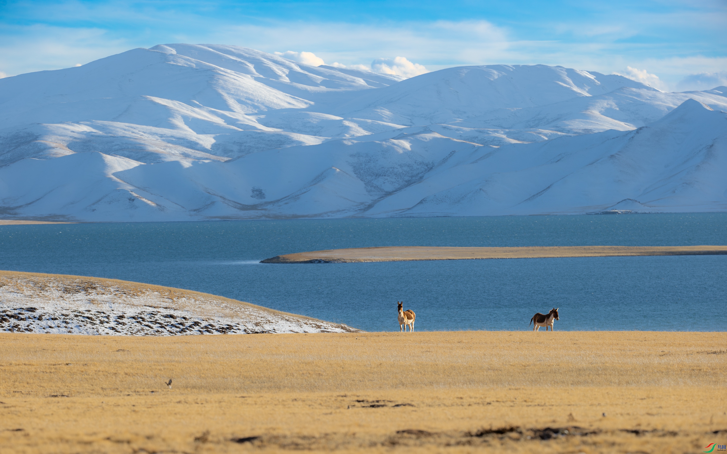 A15I0908-����ǿ-NR ����.jpg