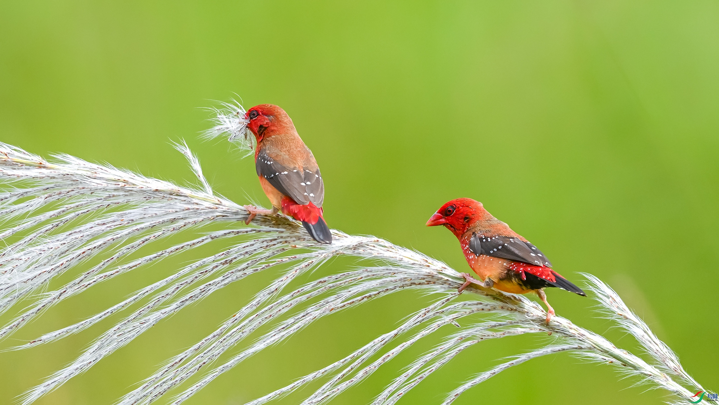 4624 ����.jpg