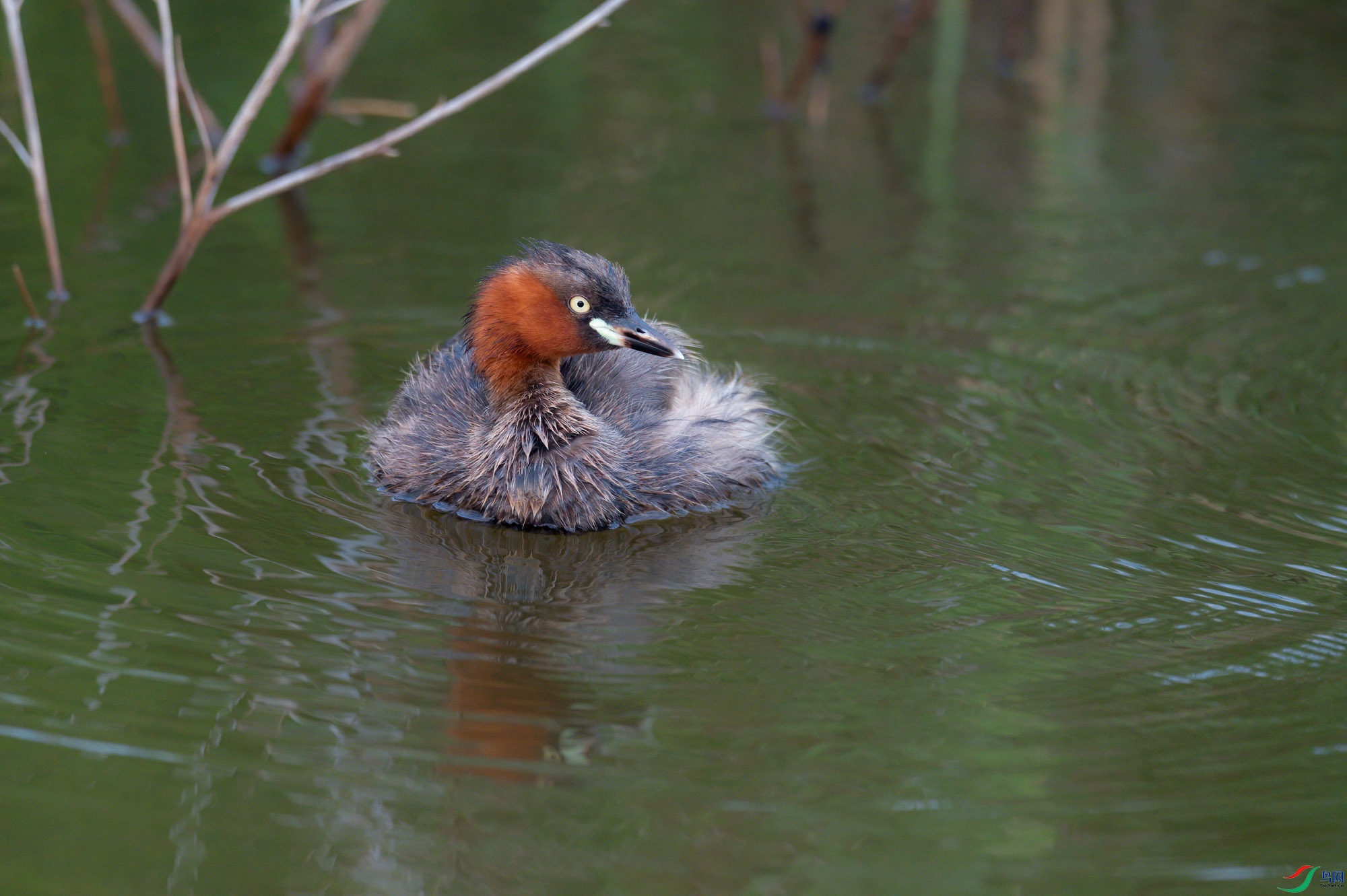 sen2016 8-20-2-�༭-2.jpg