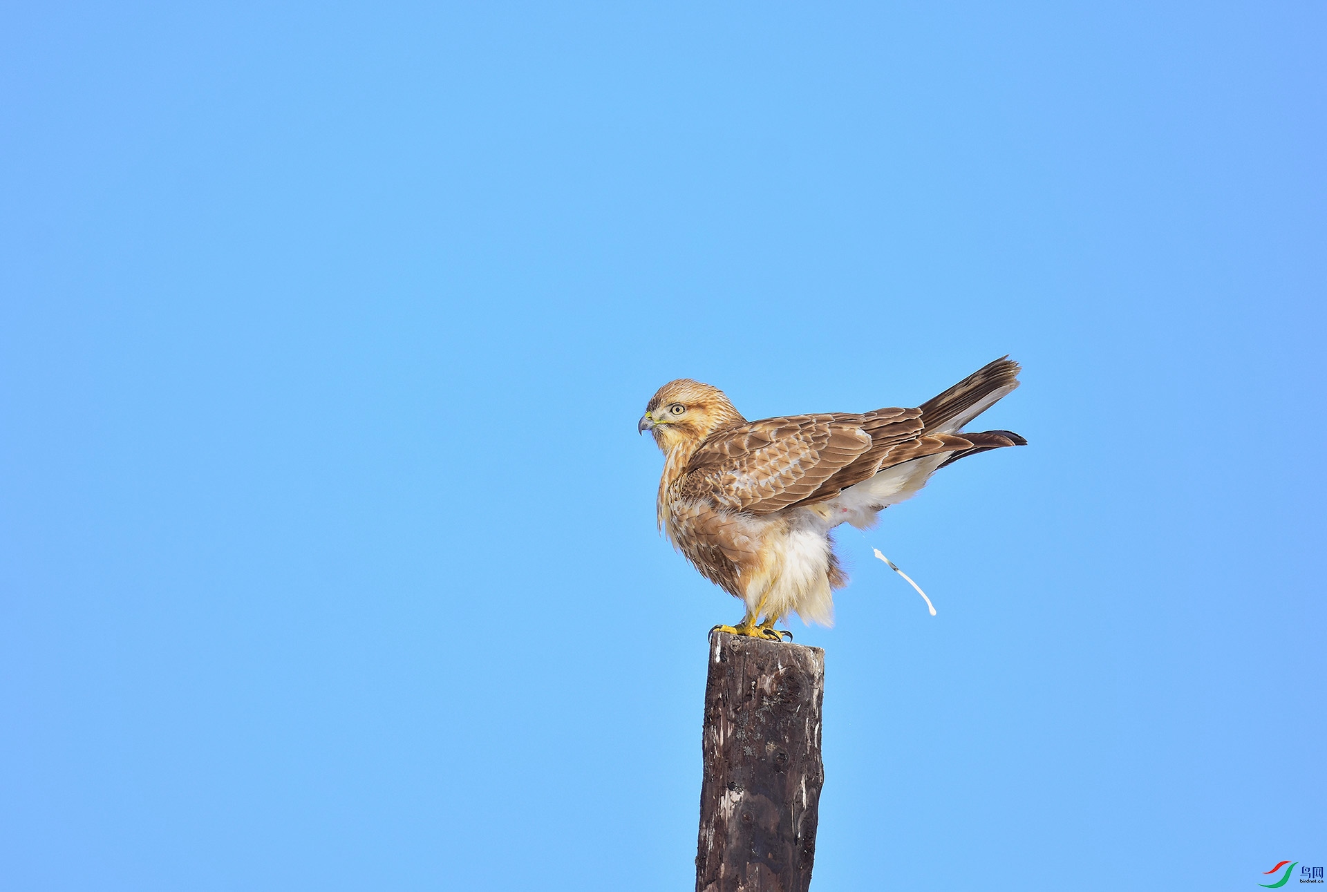 DSC_1597-1.jpg