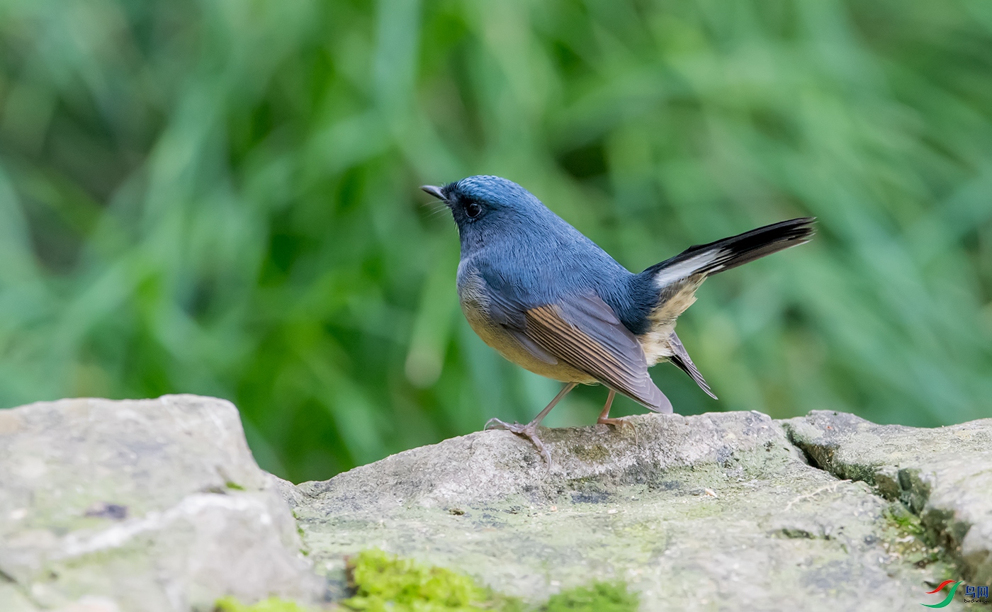 DSC_11501.jpg