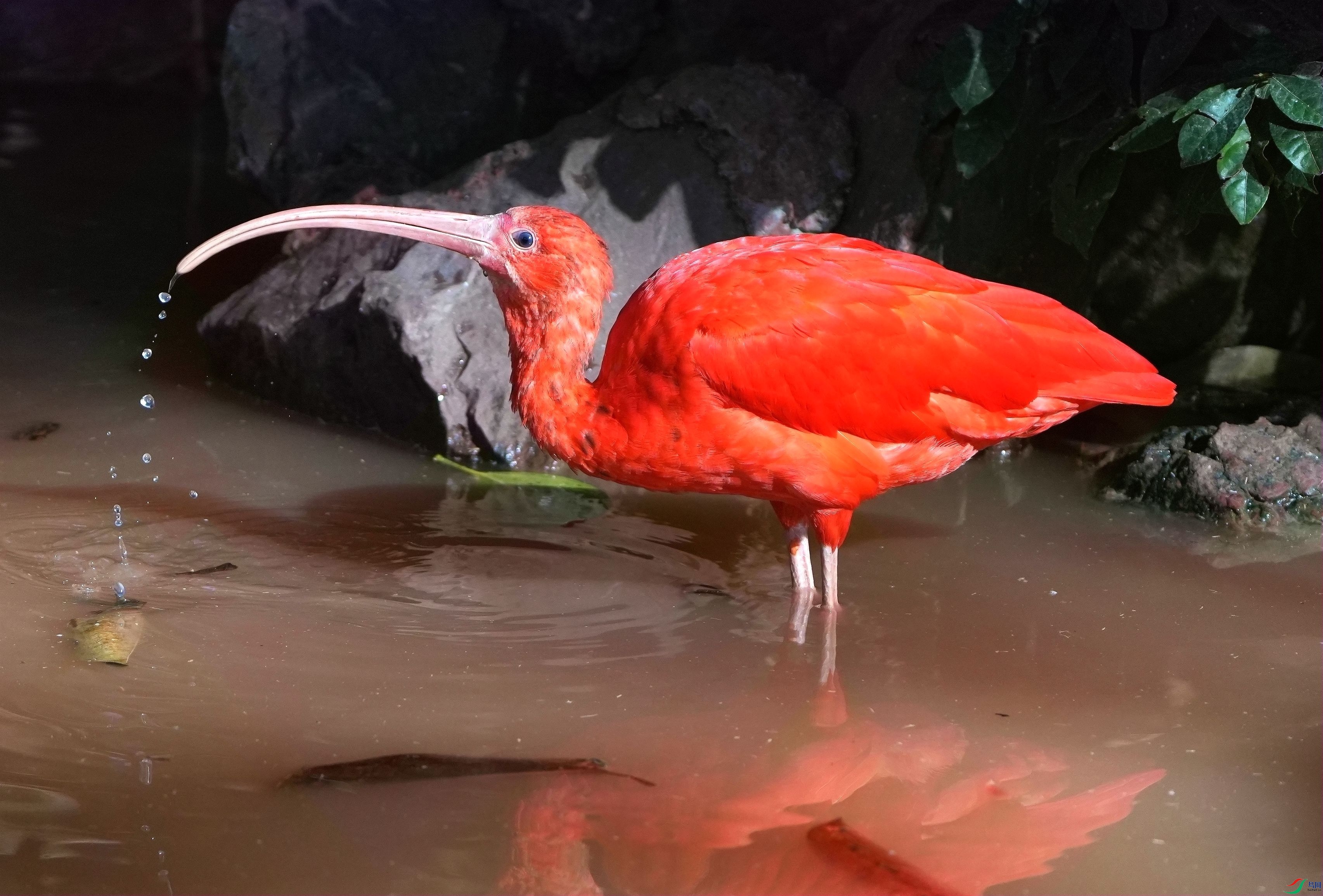 ���q��ˮDSC00006_����.jpg