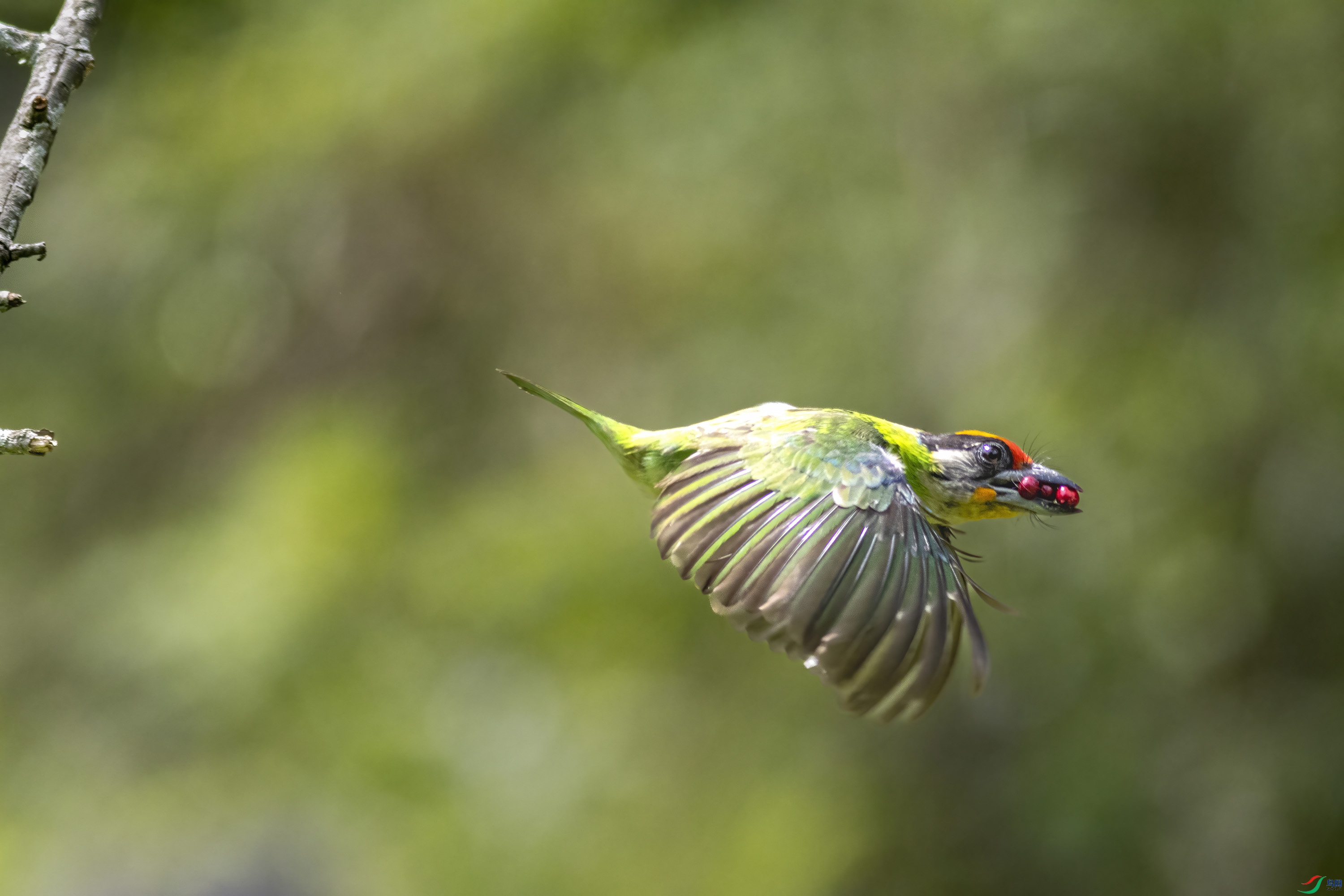 389A6916 ����.jpg