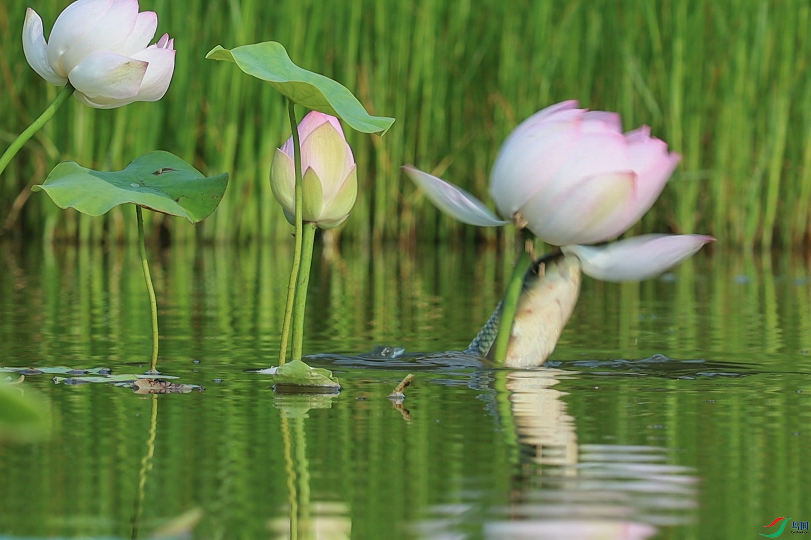 7��11��(1)�ѷ�.jpg