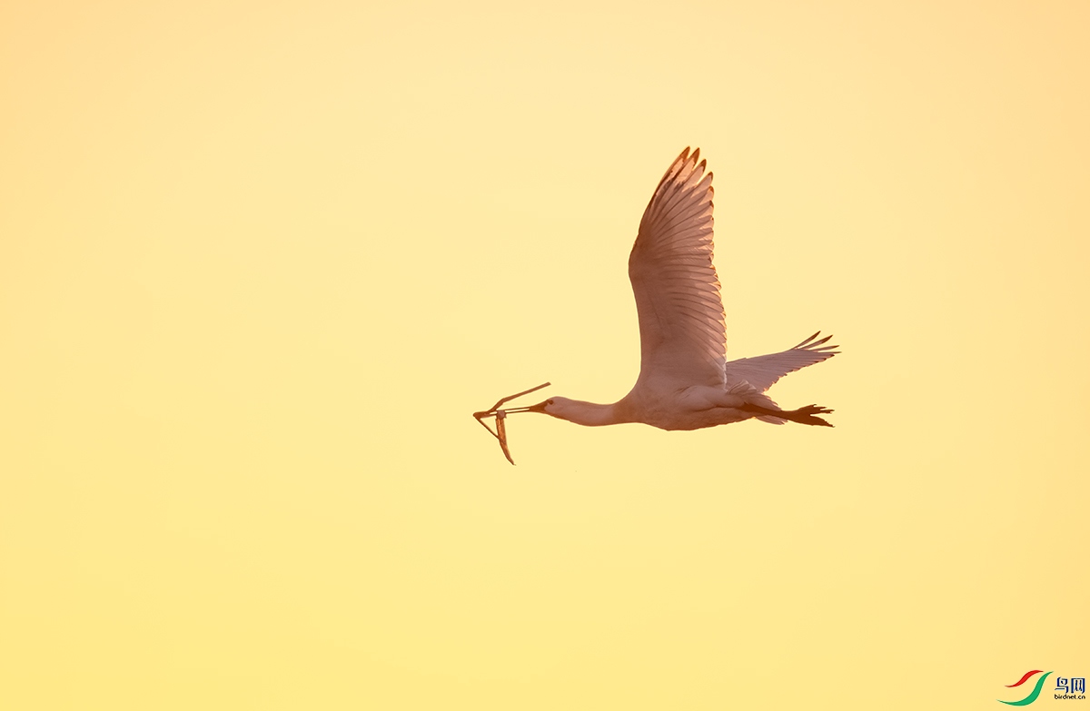 20220509 (110).jpg