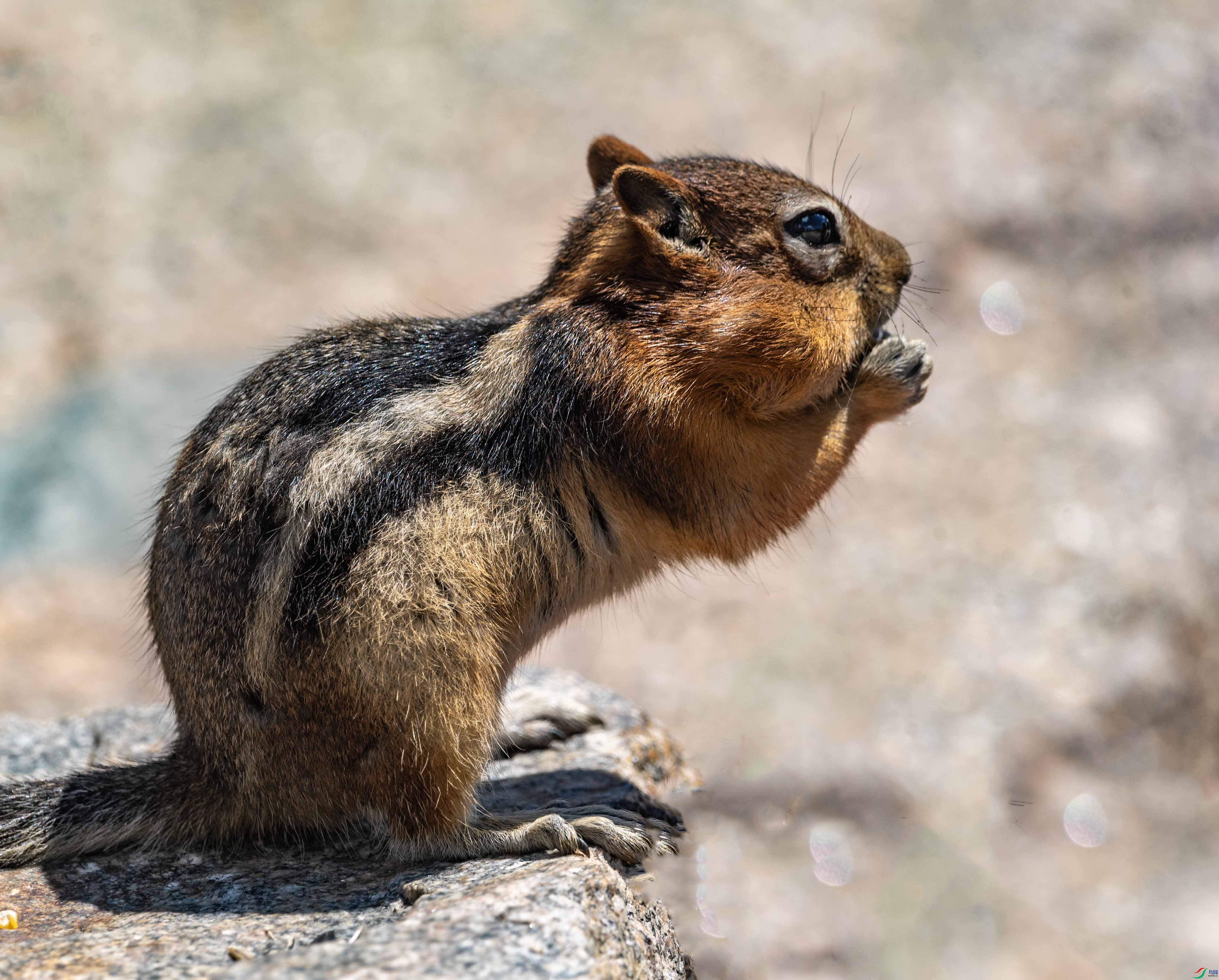 DSC_8418 ����2.jpg