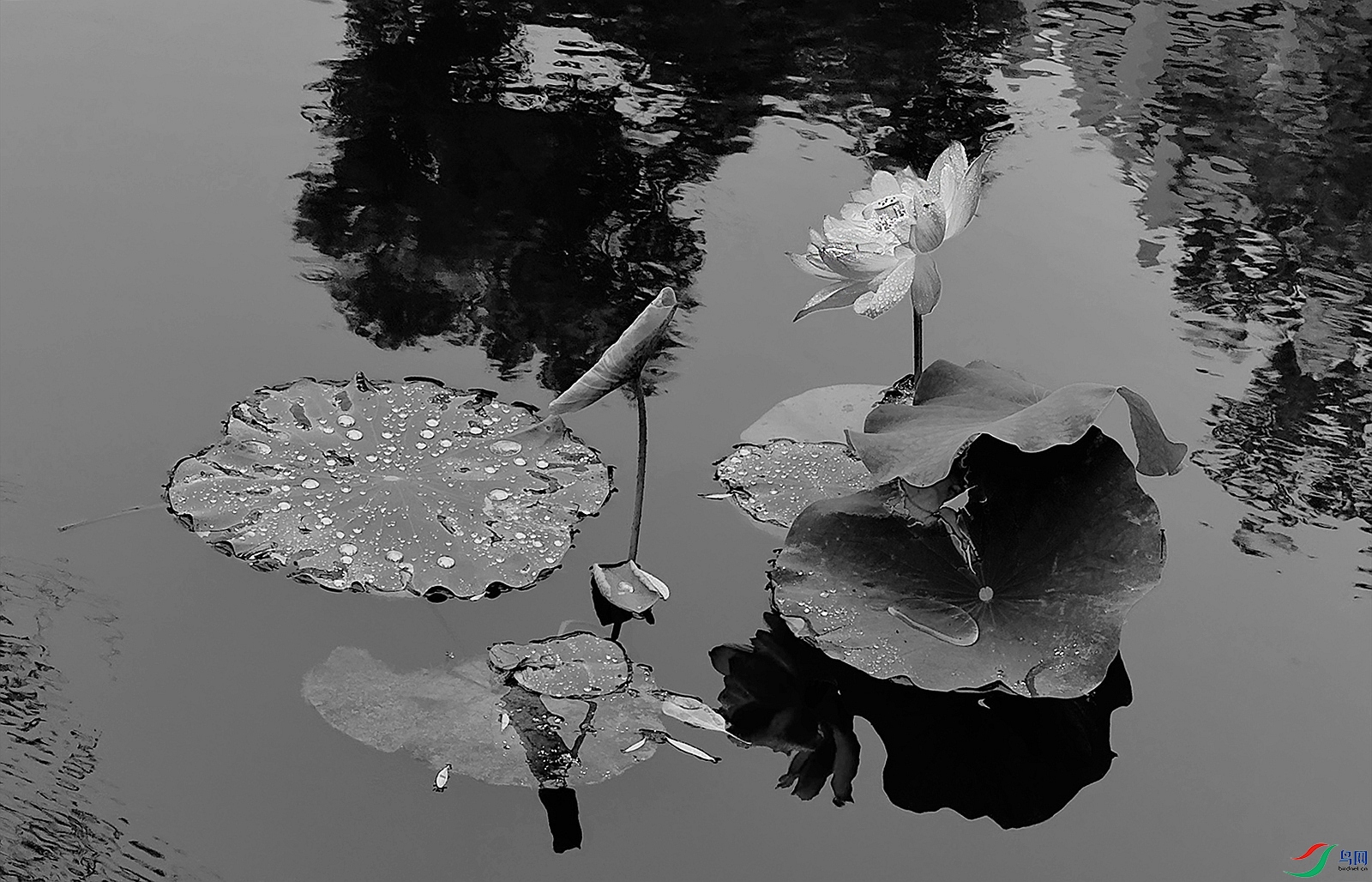 IMG_E1178 ����.jpg