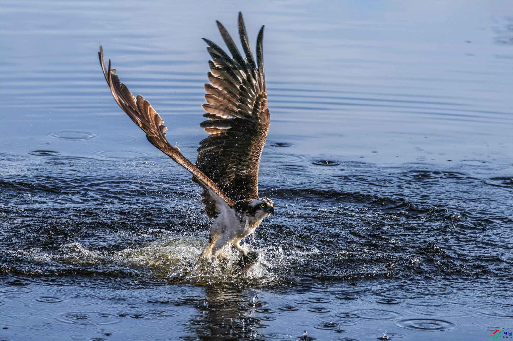 �����㲻С���������� ����.jpg