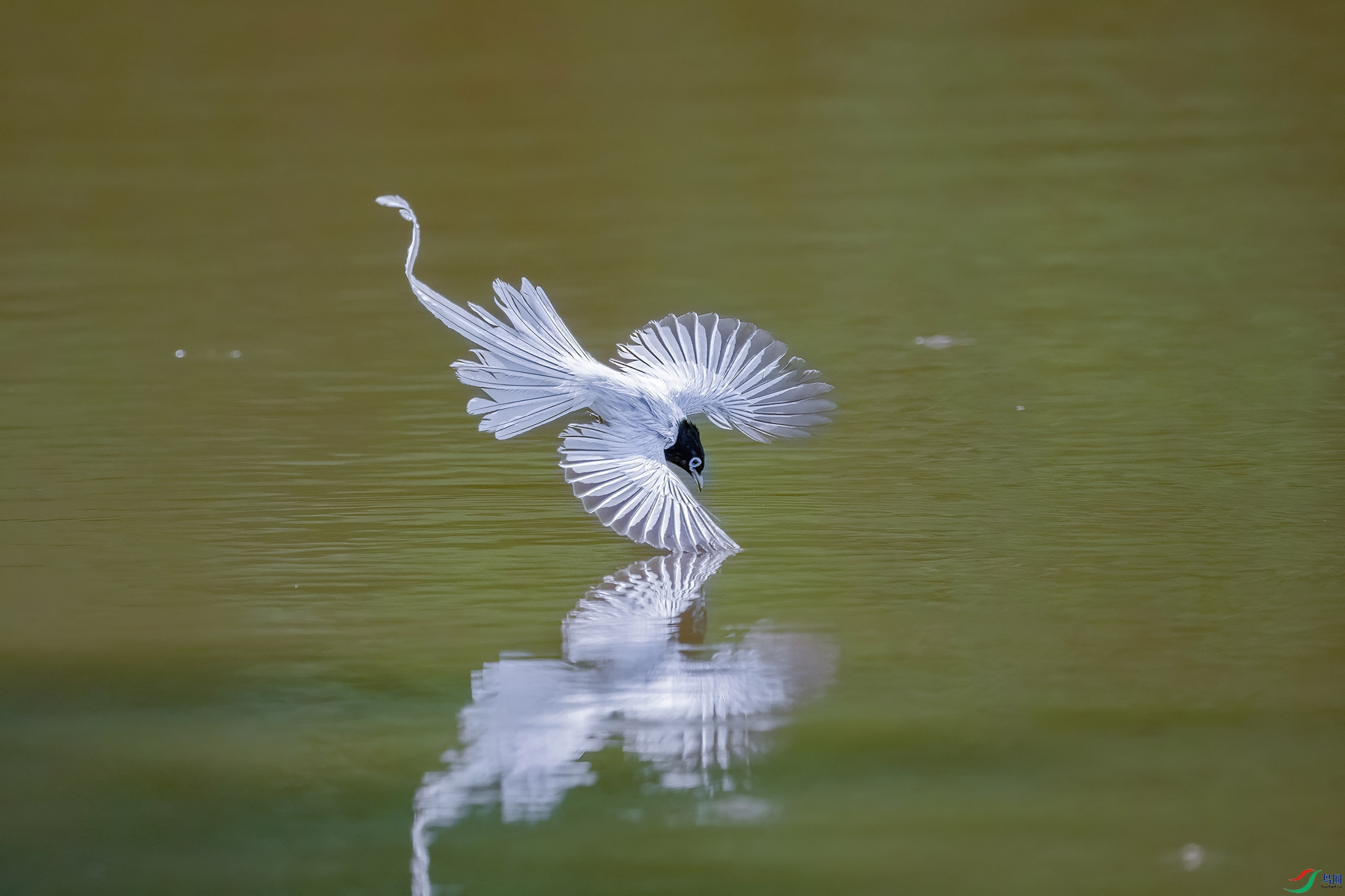 DSC_4616.jpg