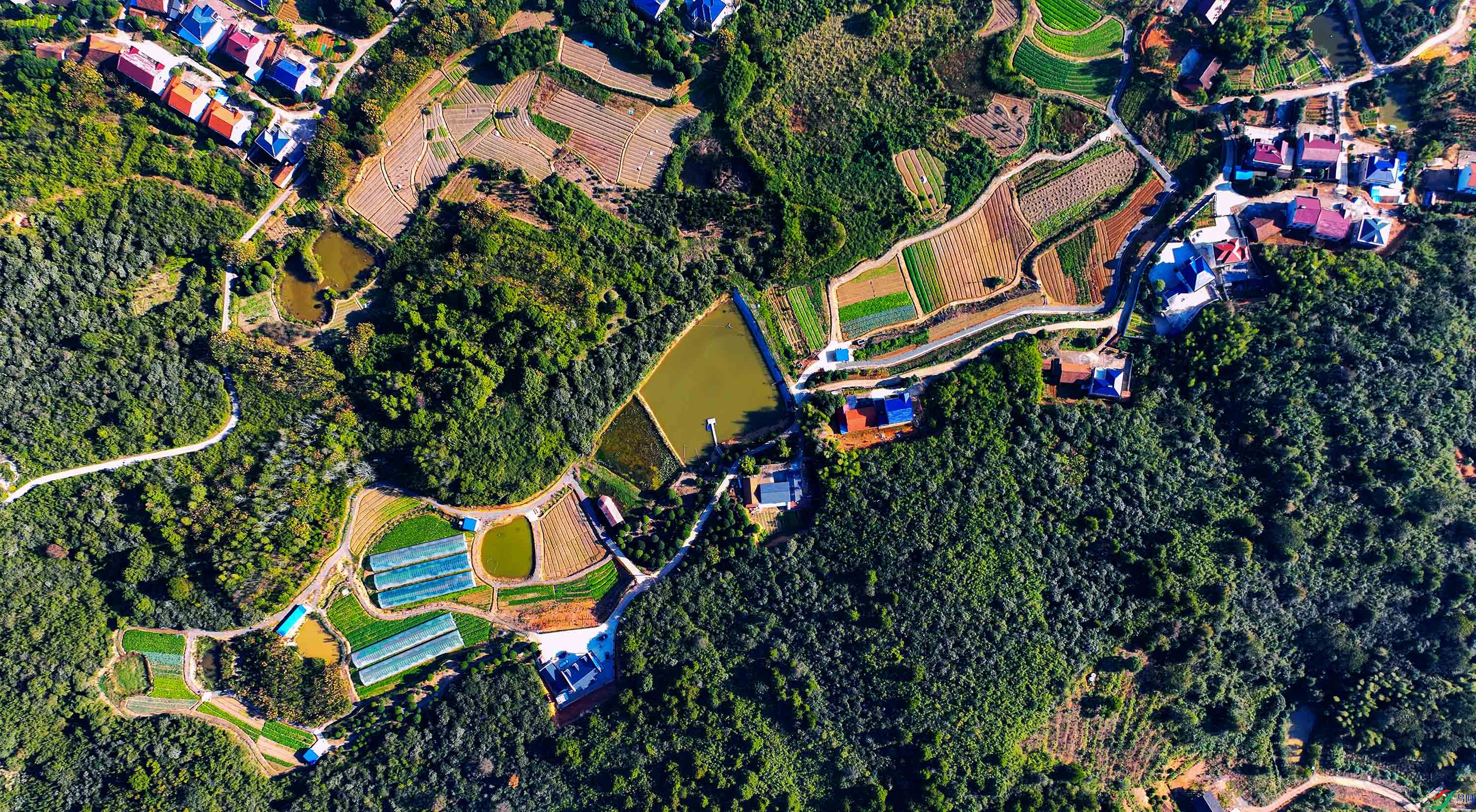 DJI_0414.jpg