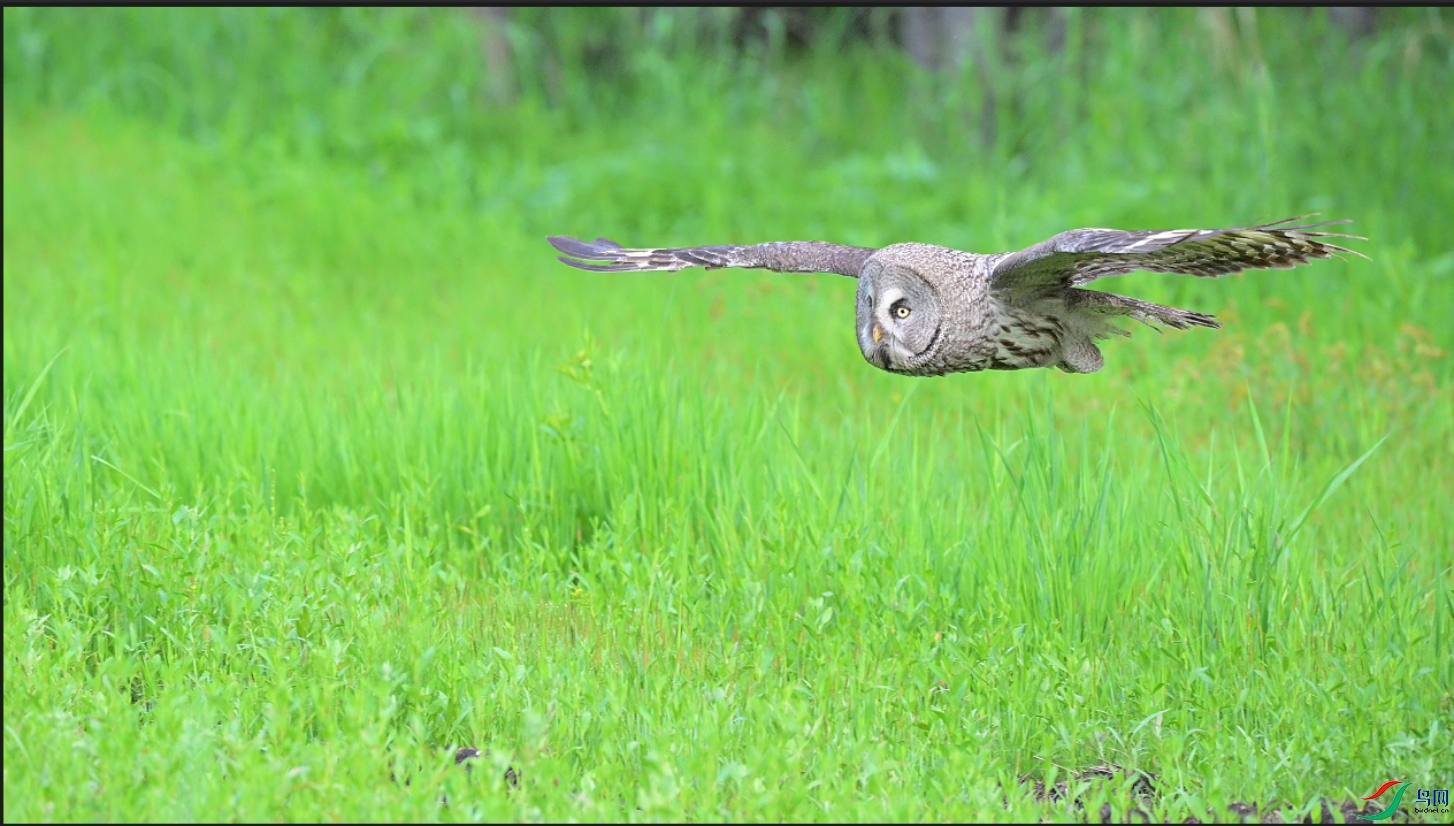 ���ݴ����־���