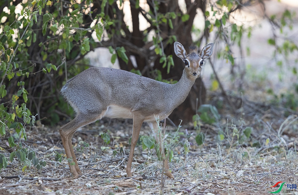 ����Ȯ�� (2).jpg