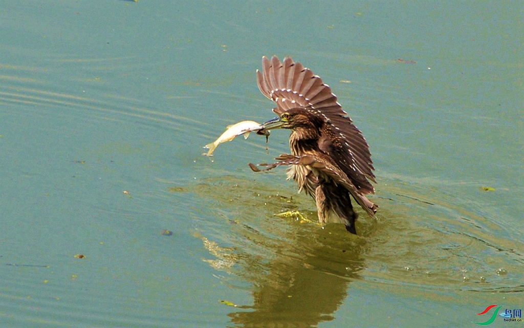 720 (43)_����.jpg