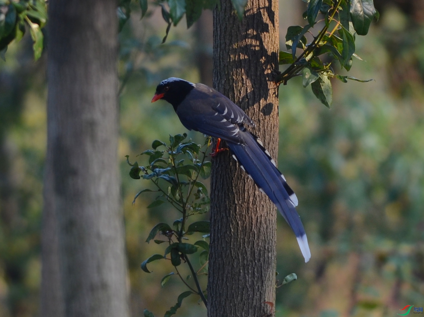 2024071402.jpg