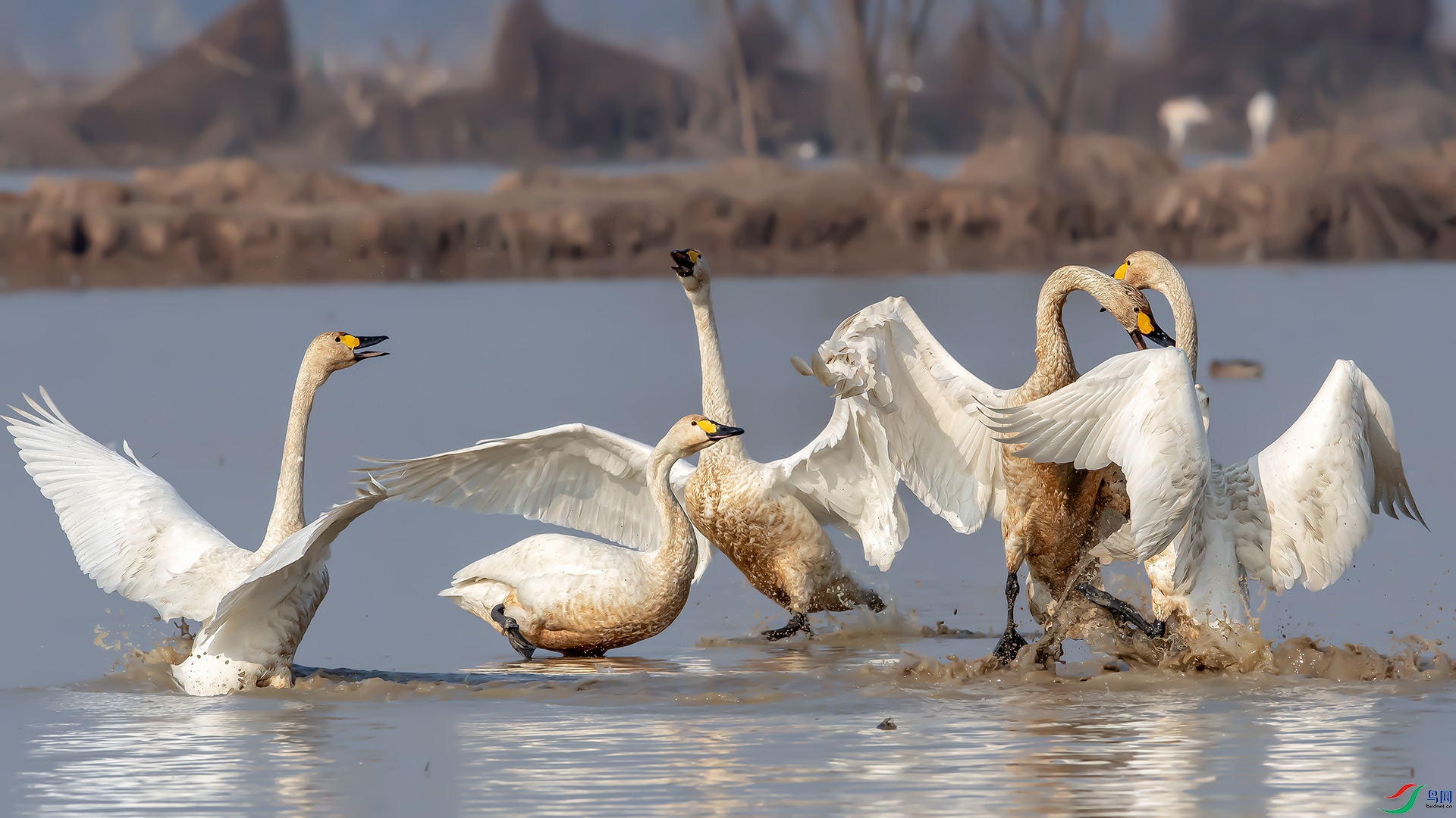 20240715��� .jpg