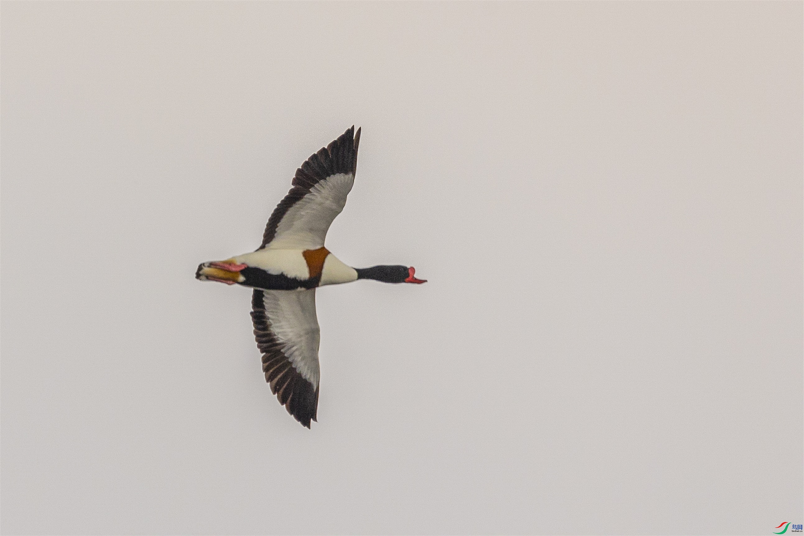 1K3A3027 ����1.jpg