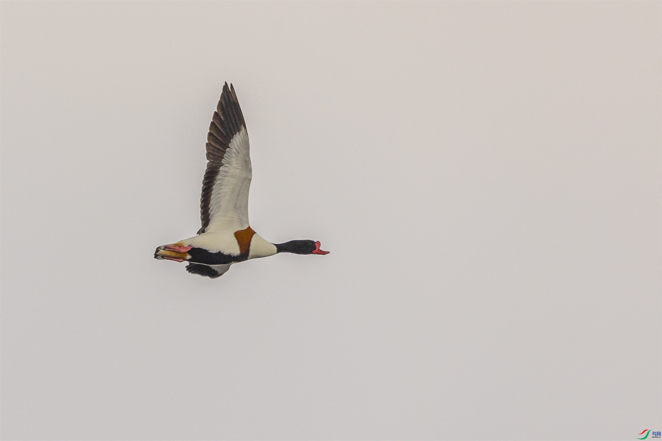 1K3A3026 ����1.jpg