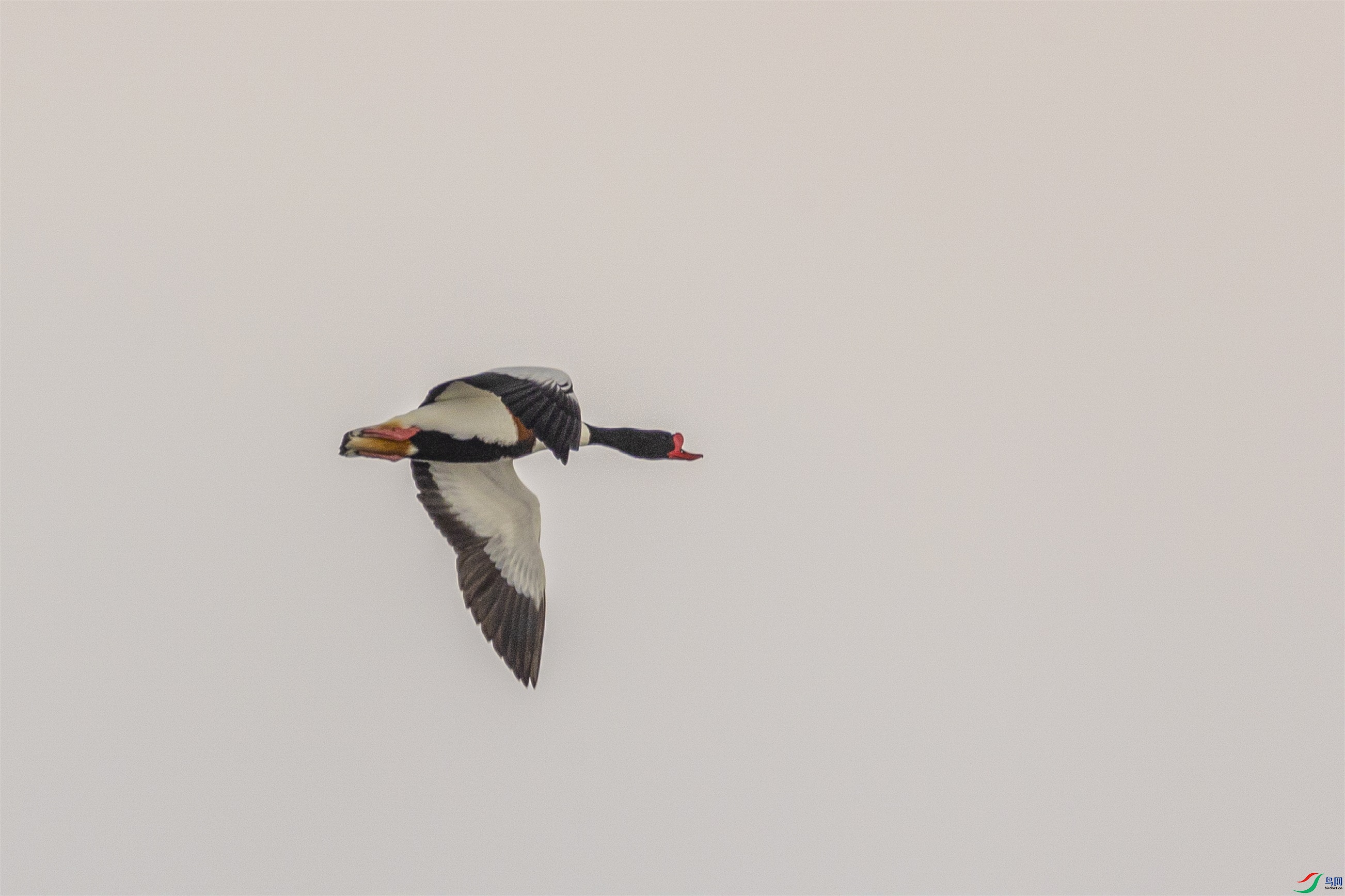 1K3A3028 ����1.jpg