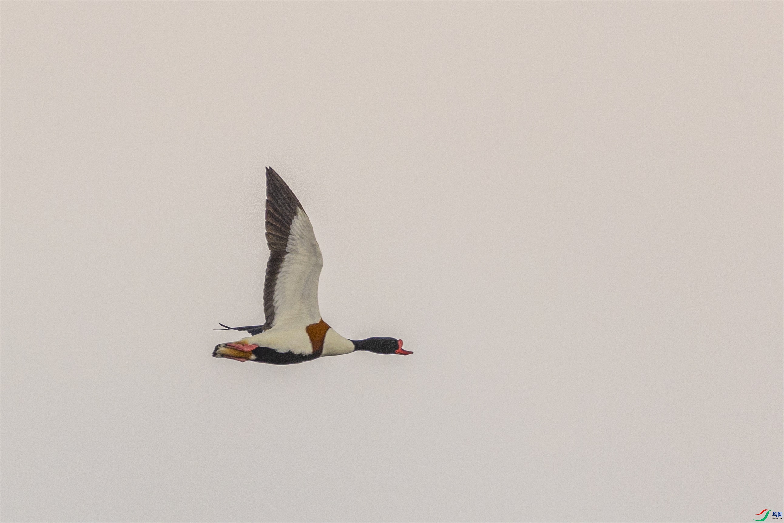 1K3A3030 ����1.jpg