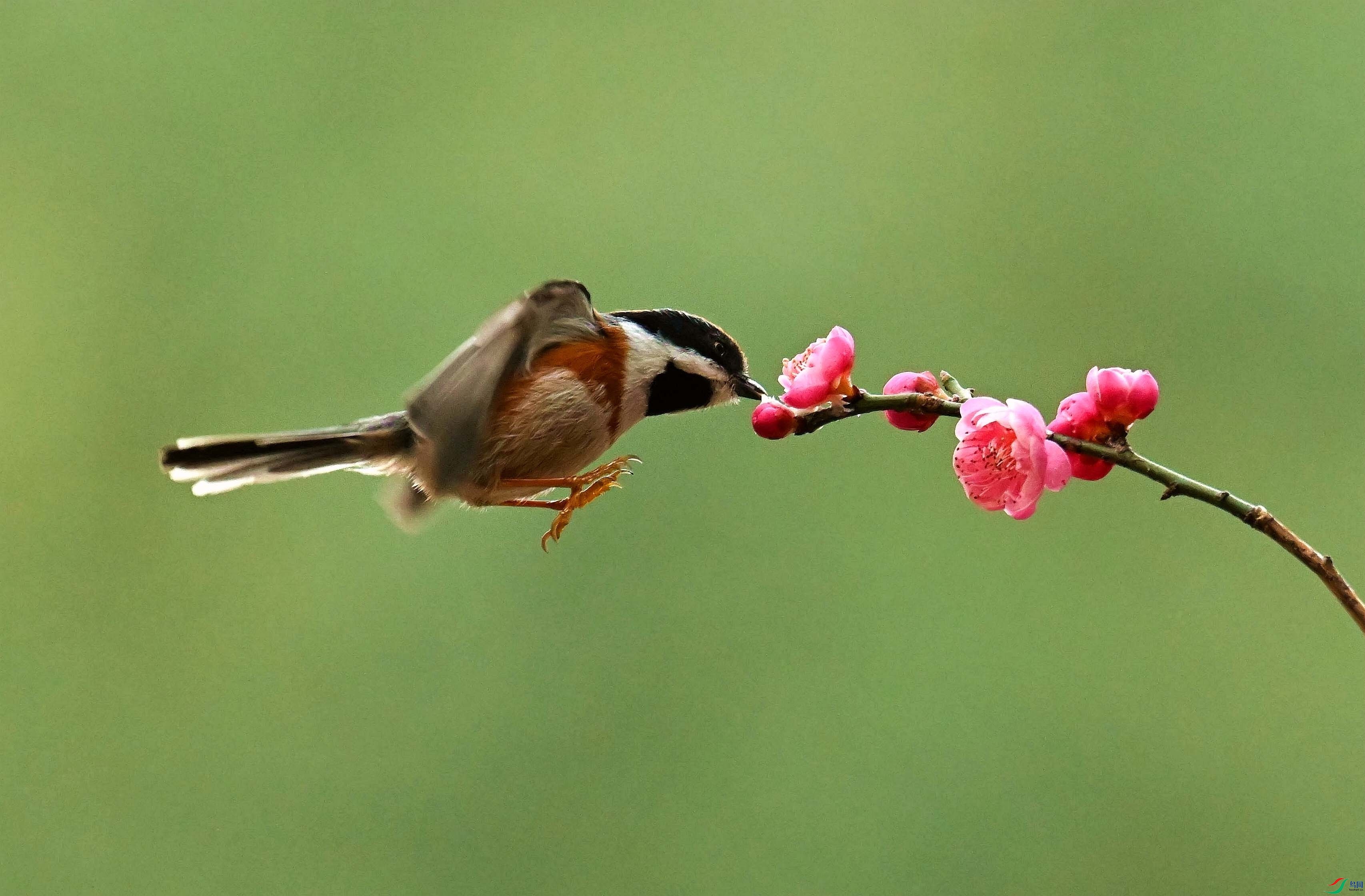 DSC_1965_����.jpg