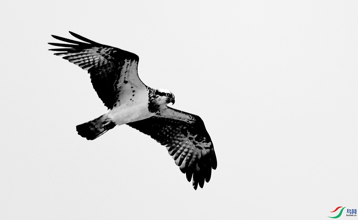 H3A6808��-24.JPG