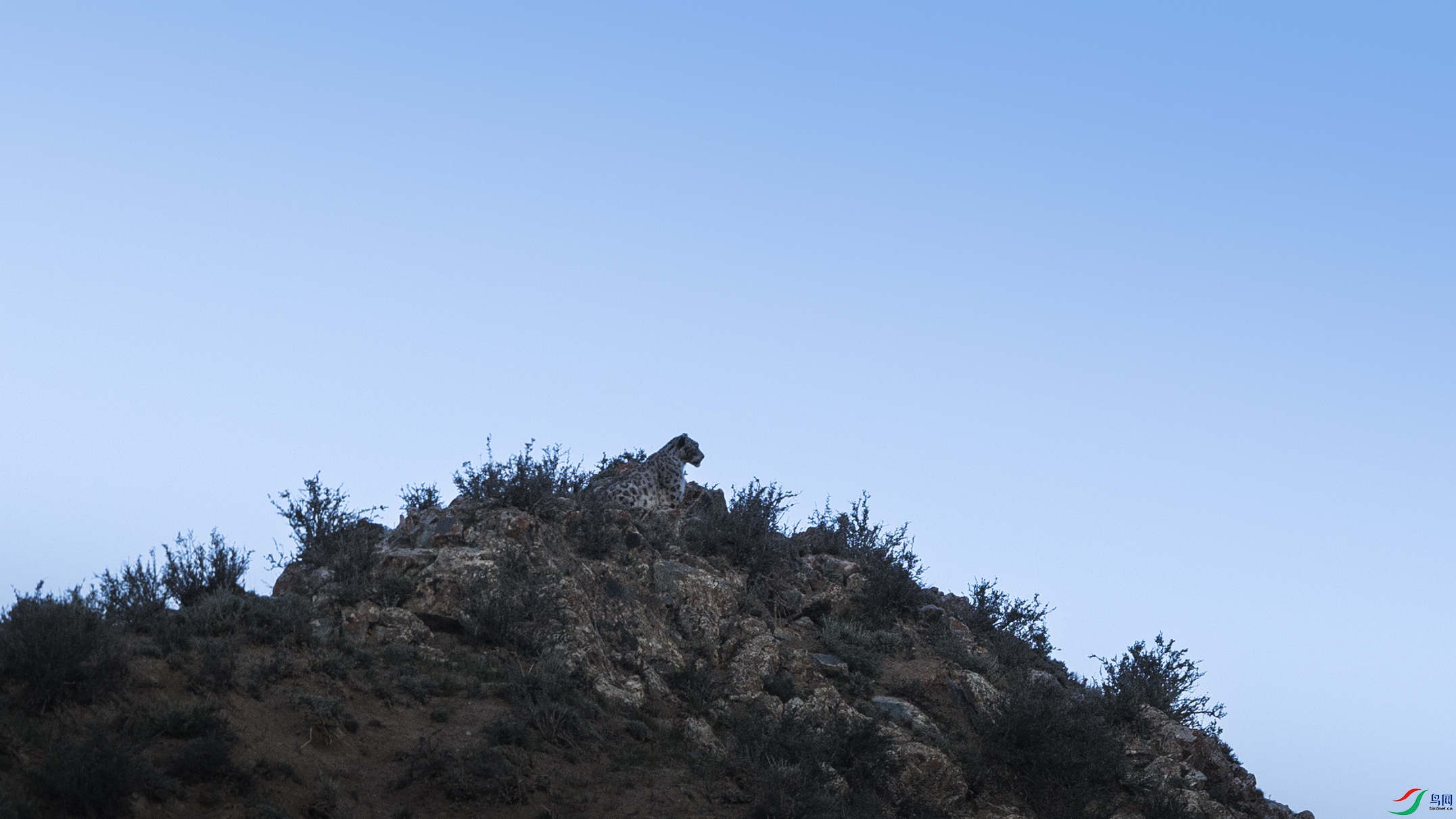 7X5A9027 ����.jpg