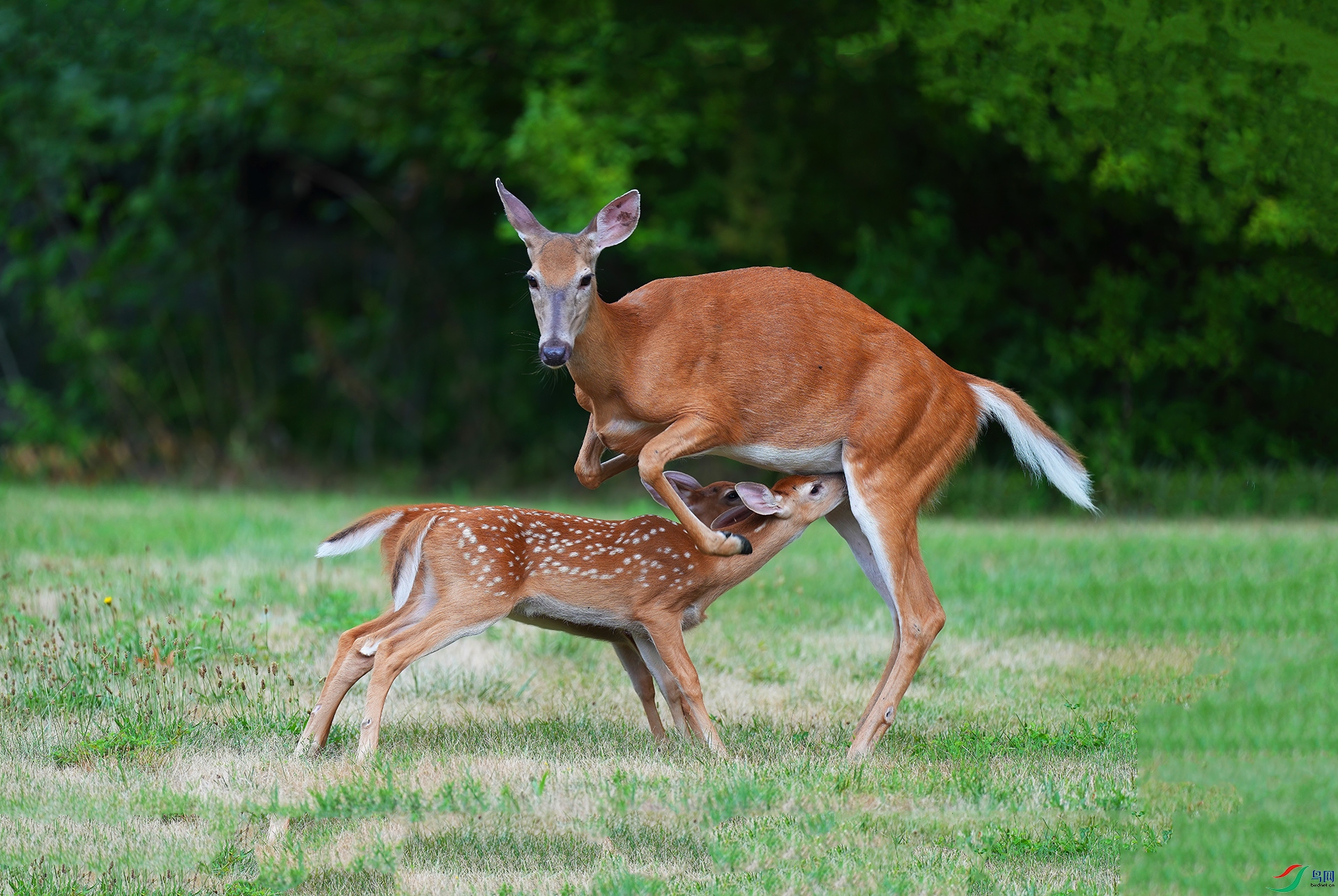 DSC01172--.jpg