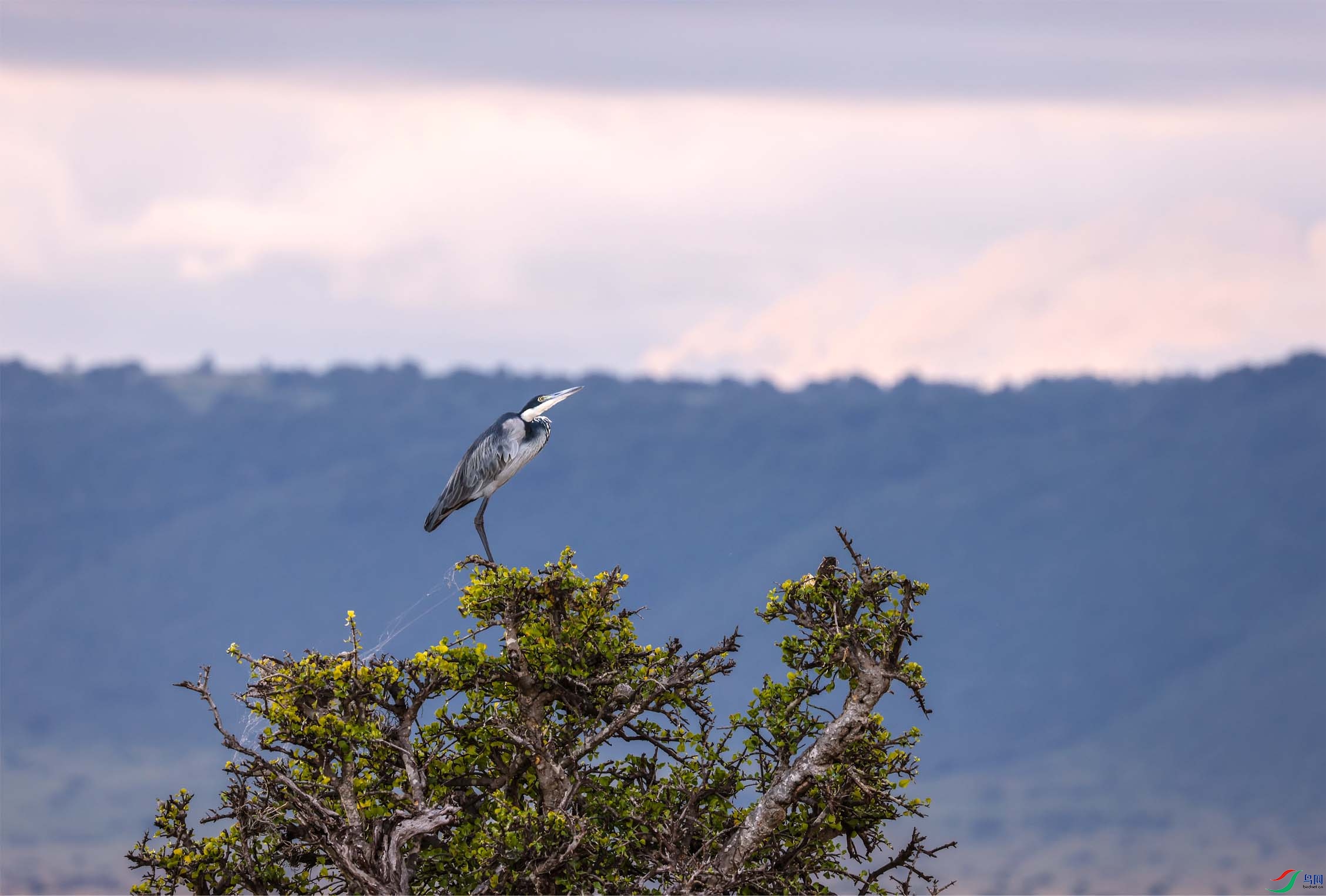 Զ�ġ�����������4 ����.jpg